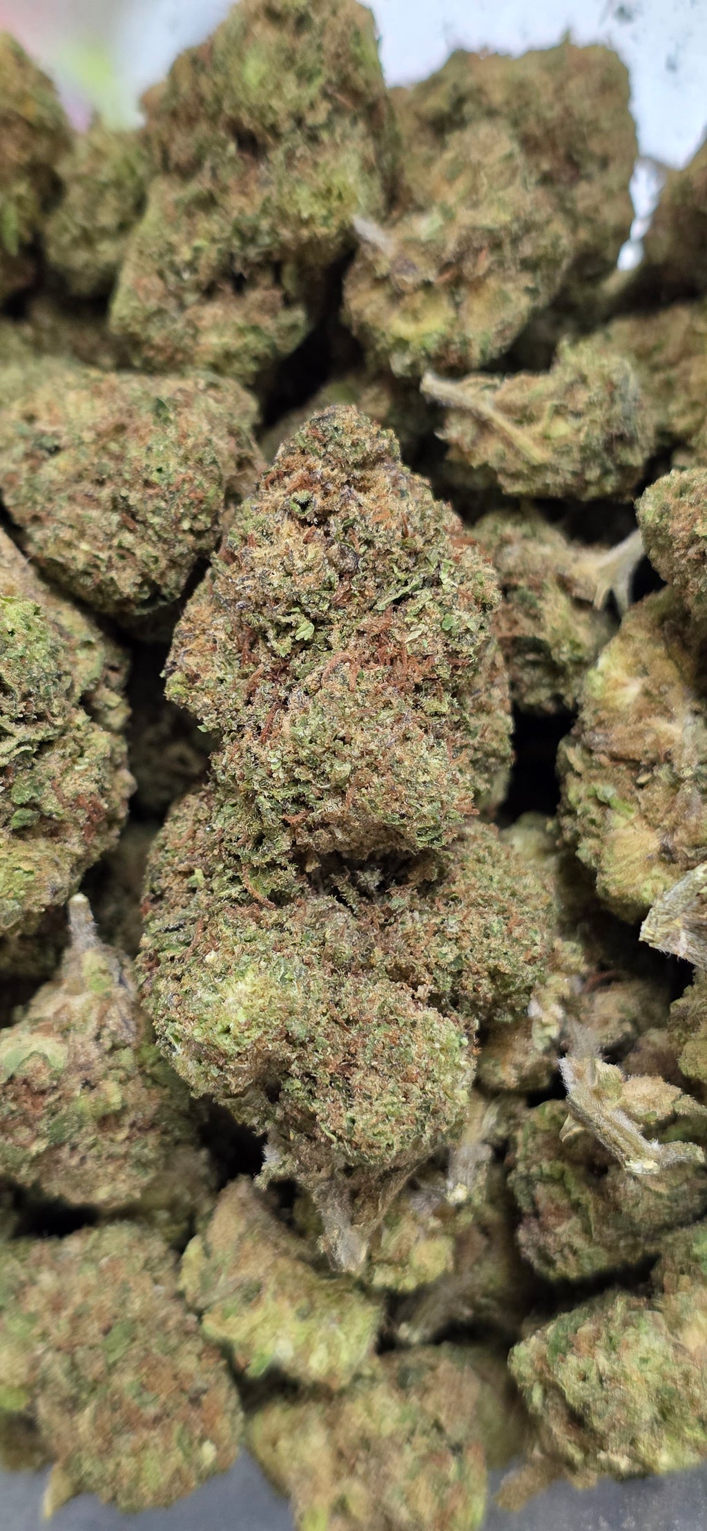 💲Budget Strains 💲