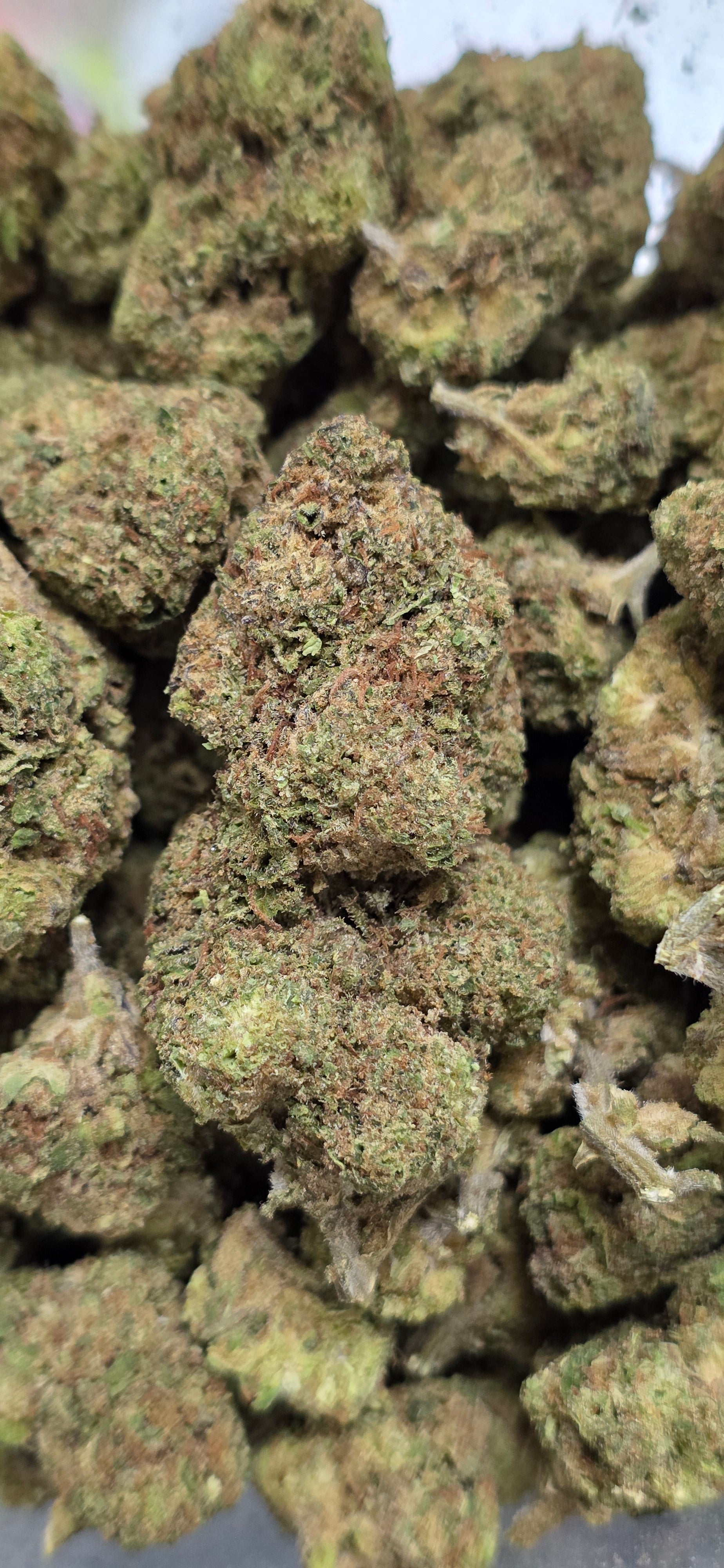 💲Budget Strains 💲