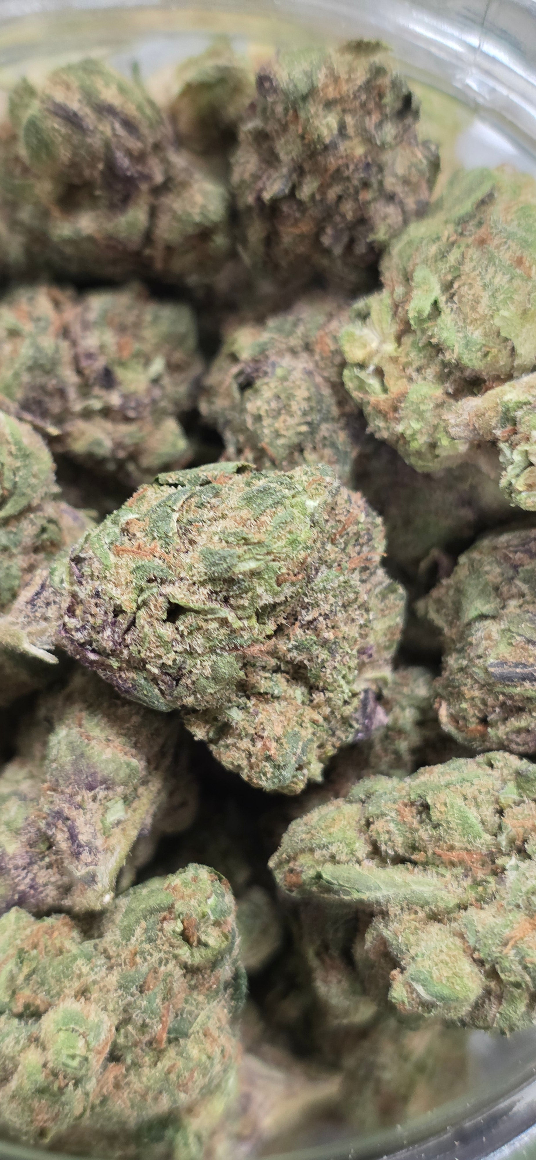 AAA+ Indoor THC-A Flower  ( Sativa )