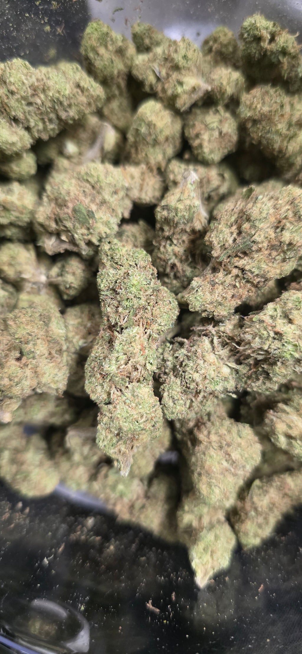 💲Budget Strains 💲