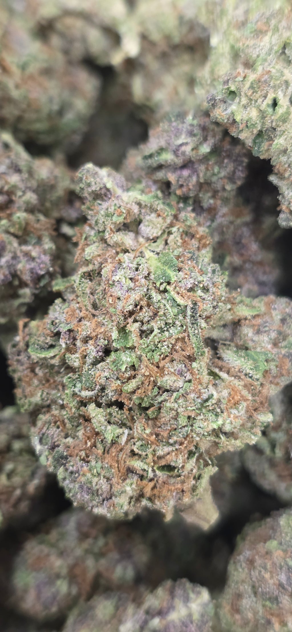 💲Budget Strains 💲