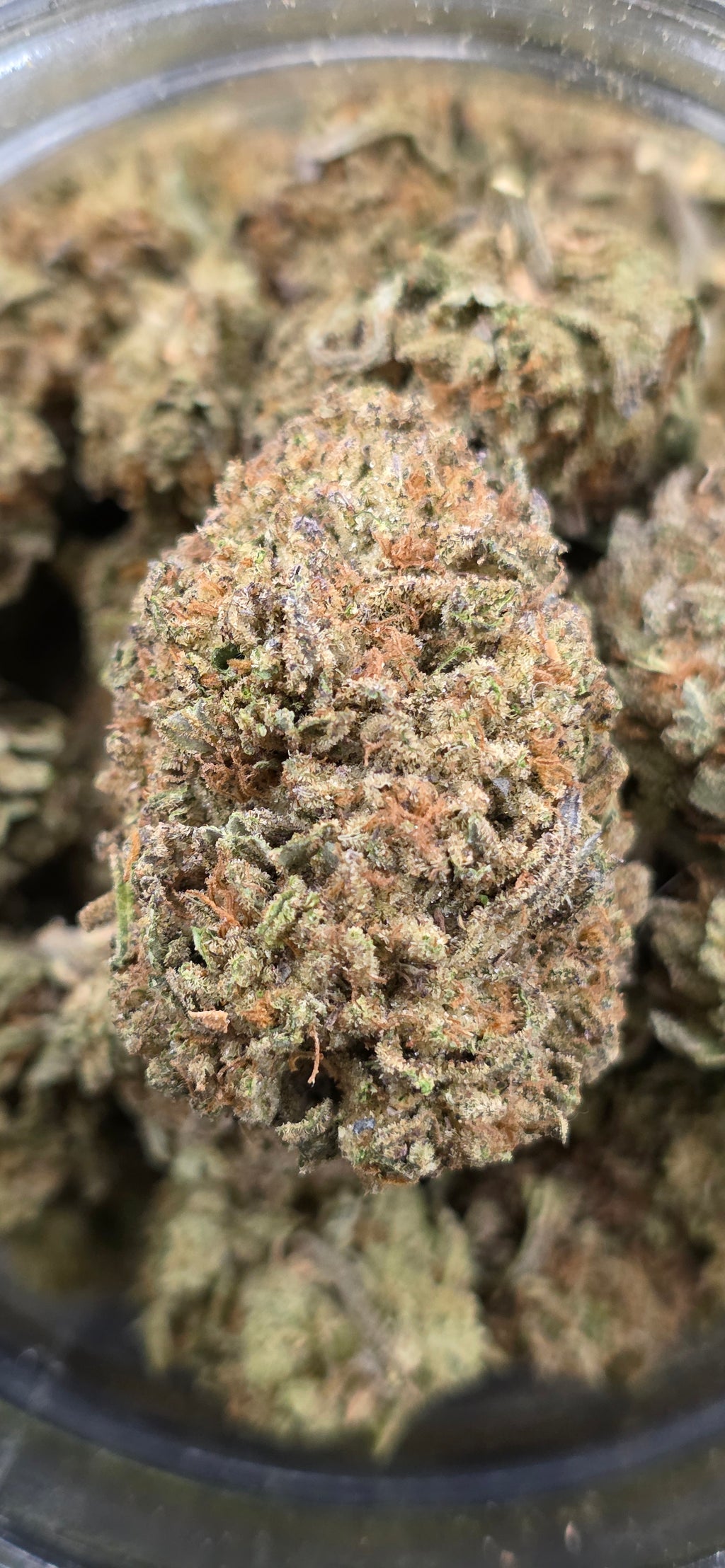 💲Budget Strains 💲