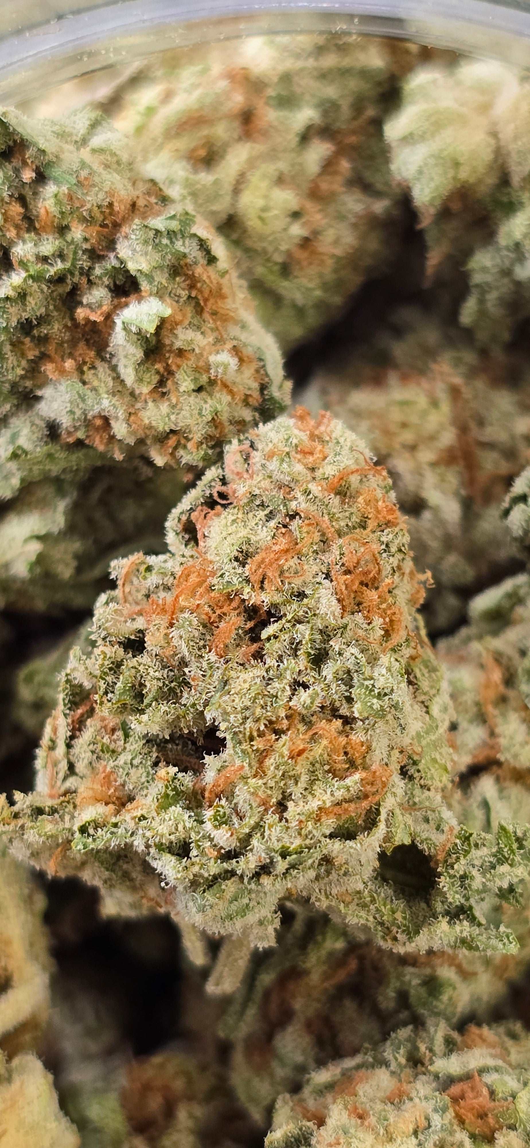 AAA+ Indoor THC-A Flower  ( Sativa )