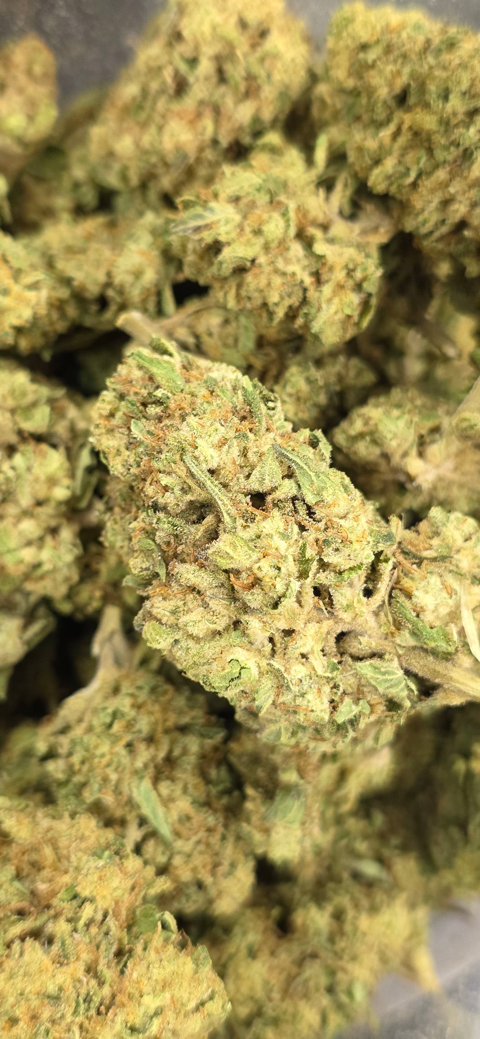 💲Budget Strains 💲