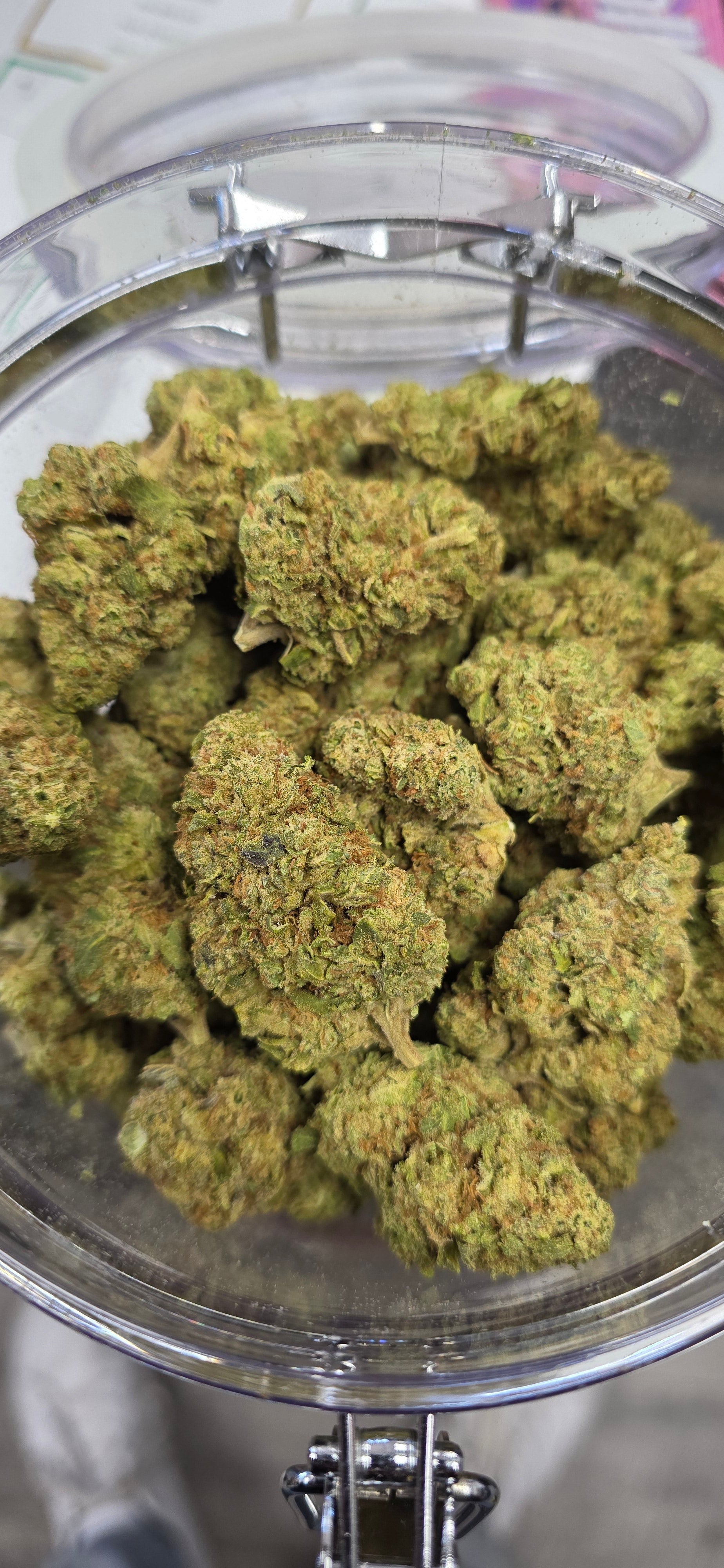 💲Budget Strains 💲