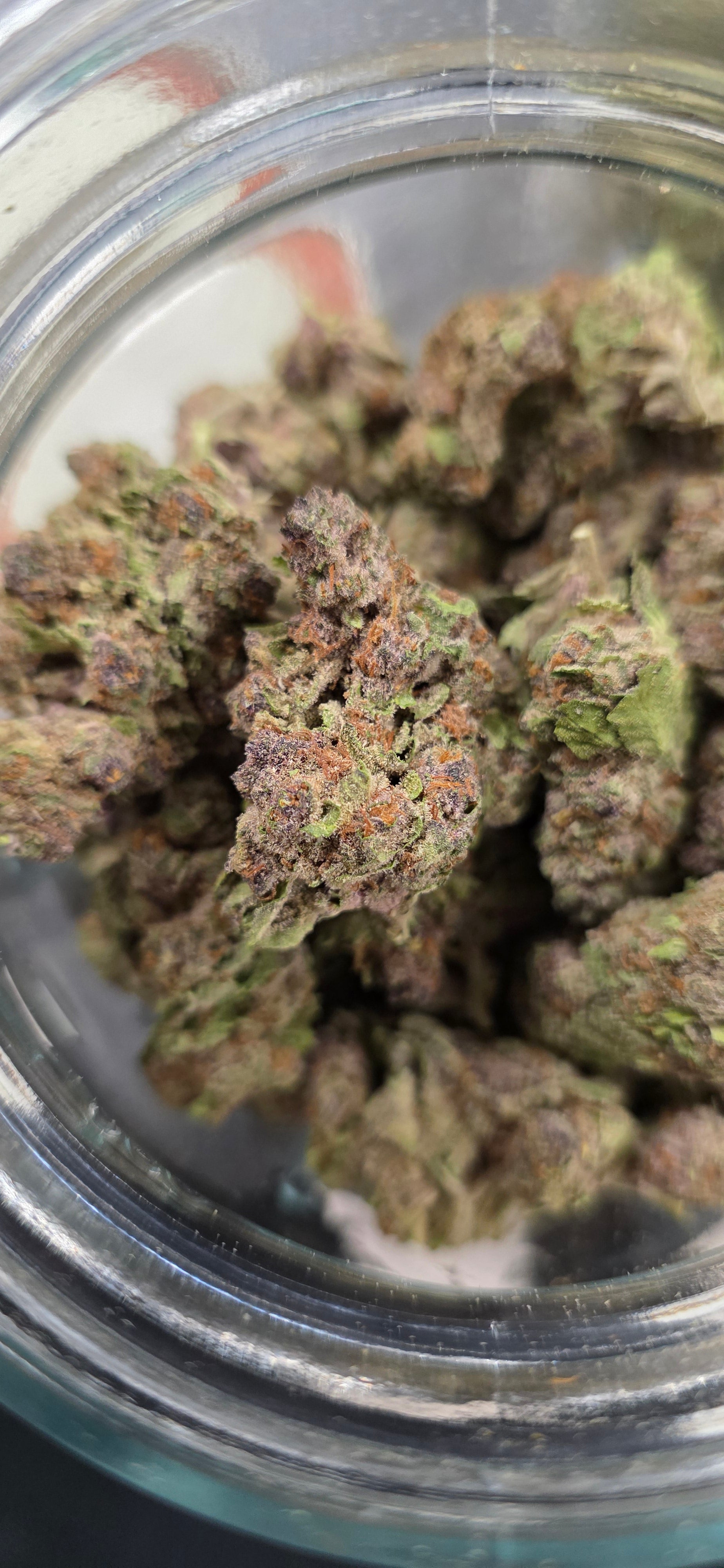 💲Budget Strains 💲