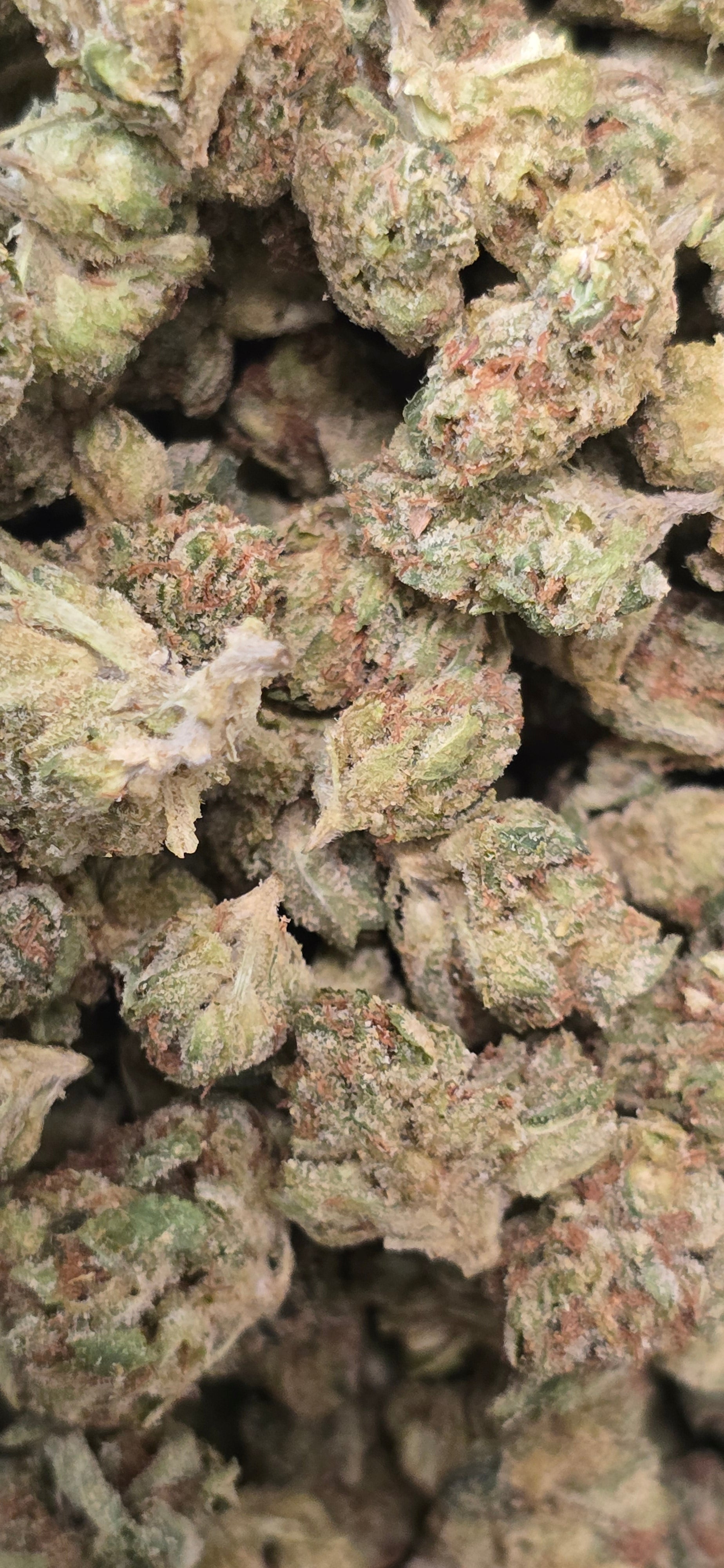 Popcorn Specials ⛽️