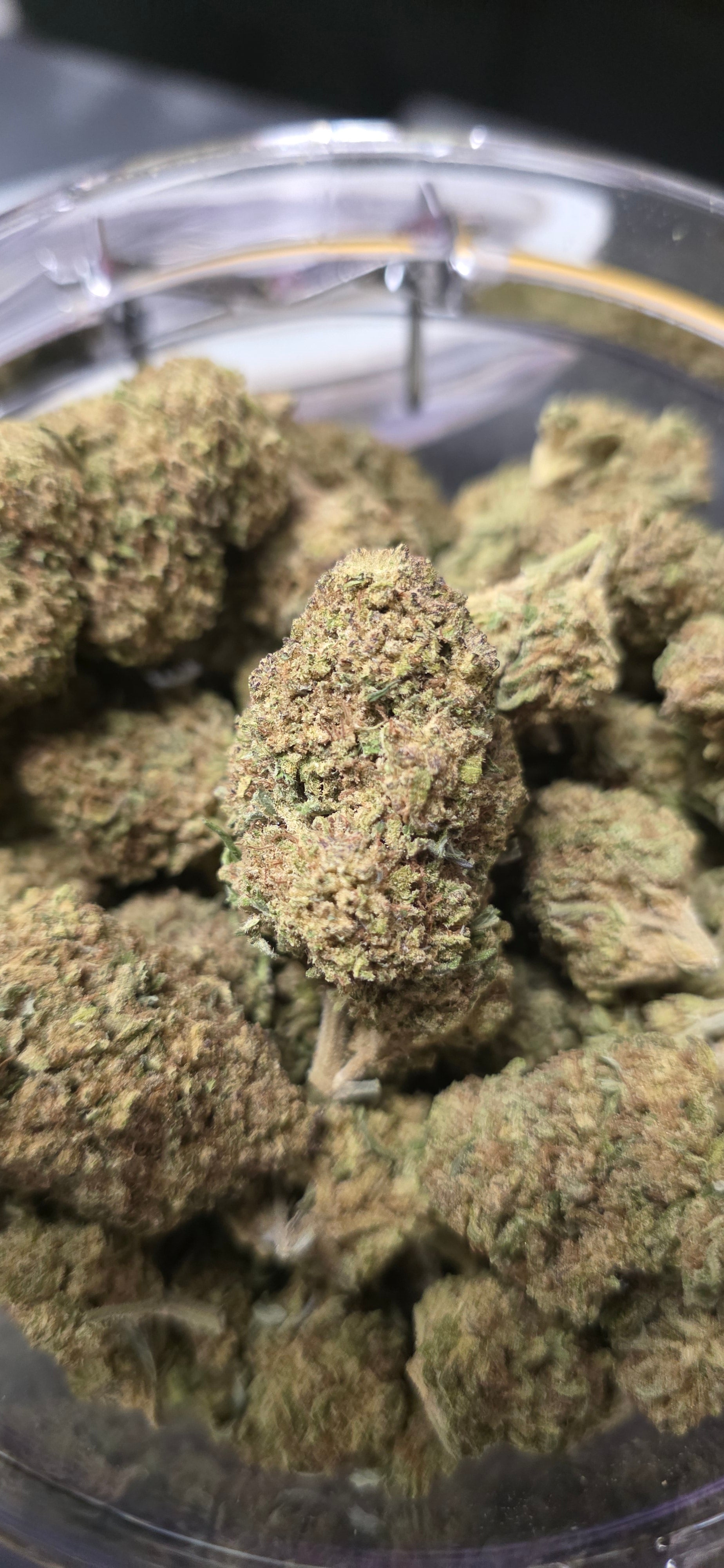 💲Budget Strains 💲