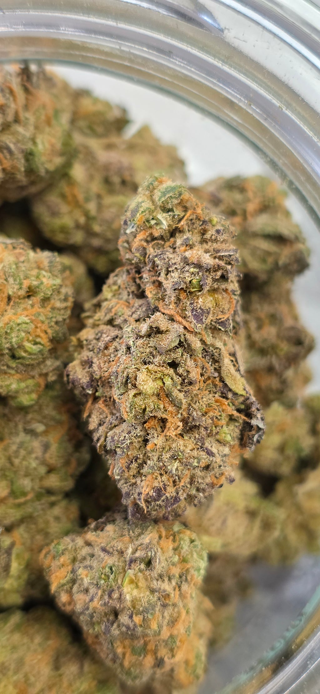 Strain Of The Week !!!