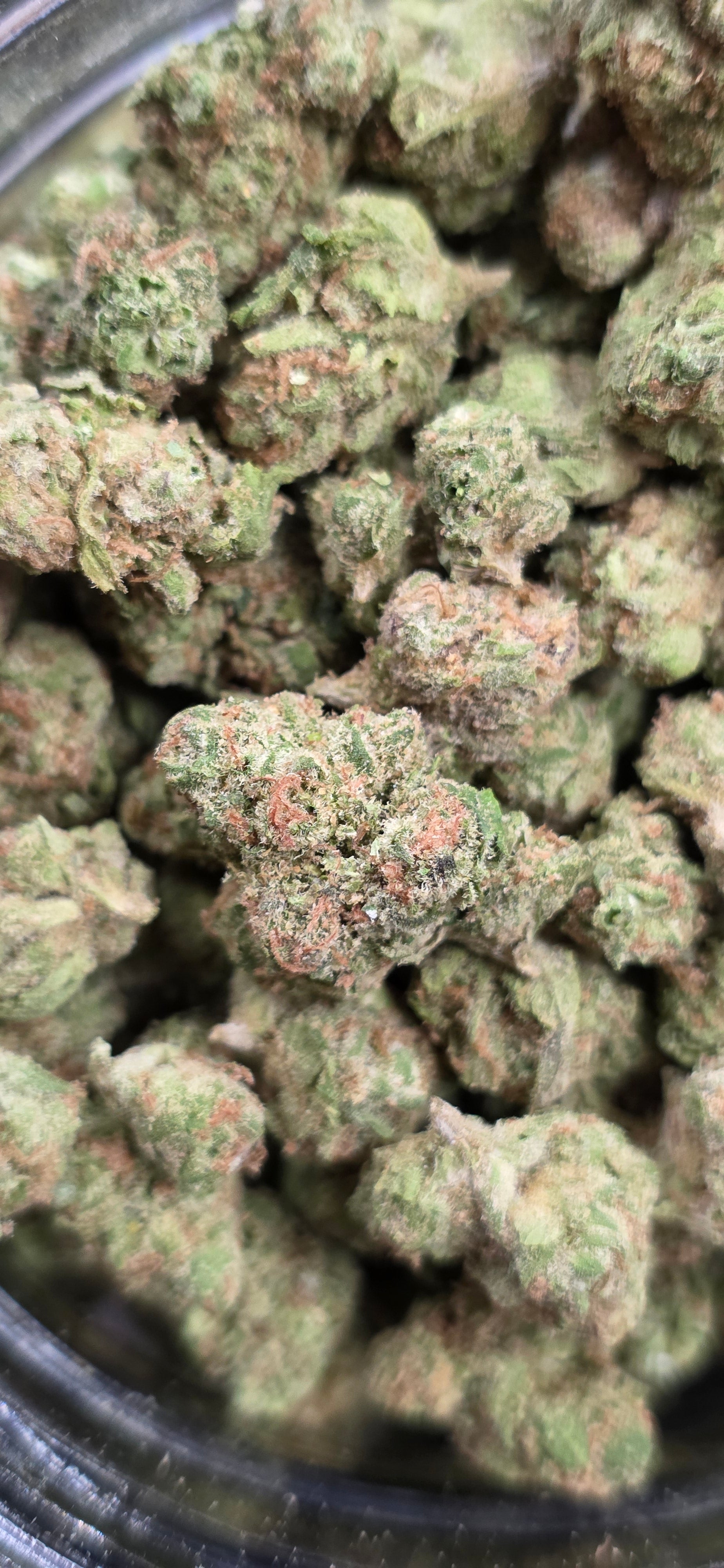 Popcorn Specials ⛽️