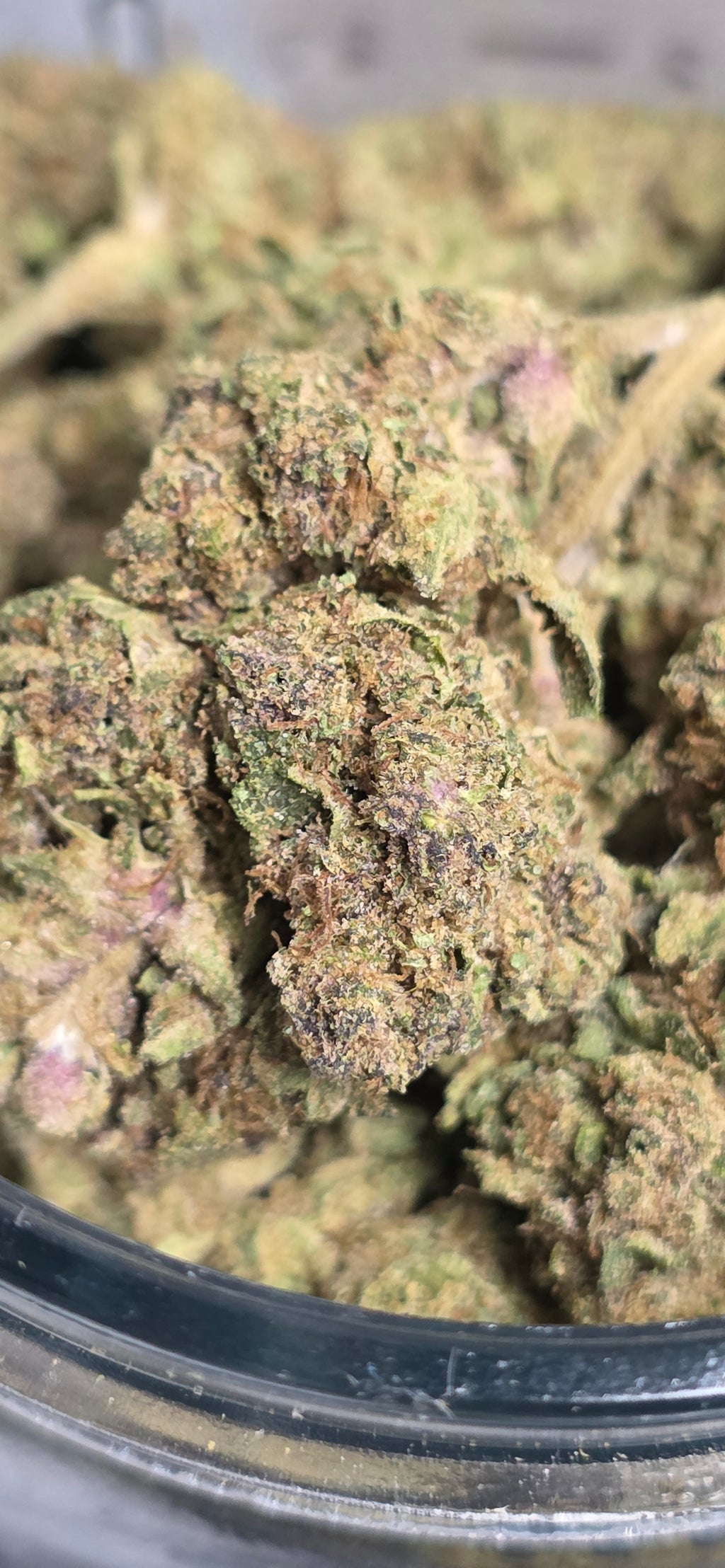 AAA+ Indoor THC-A Flower  ( Indica )