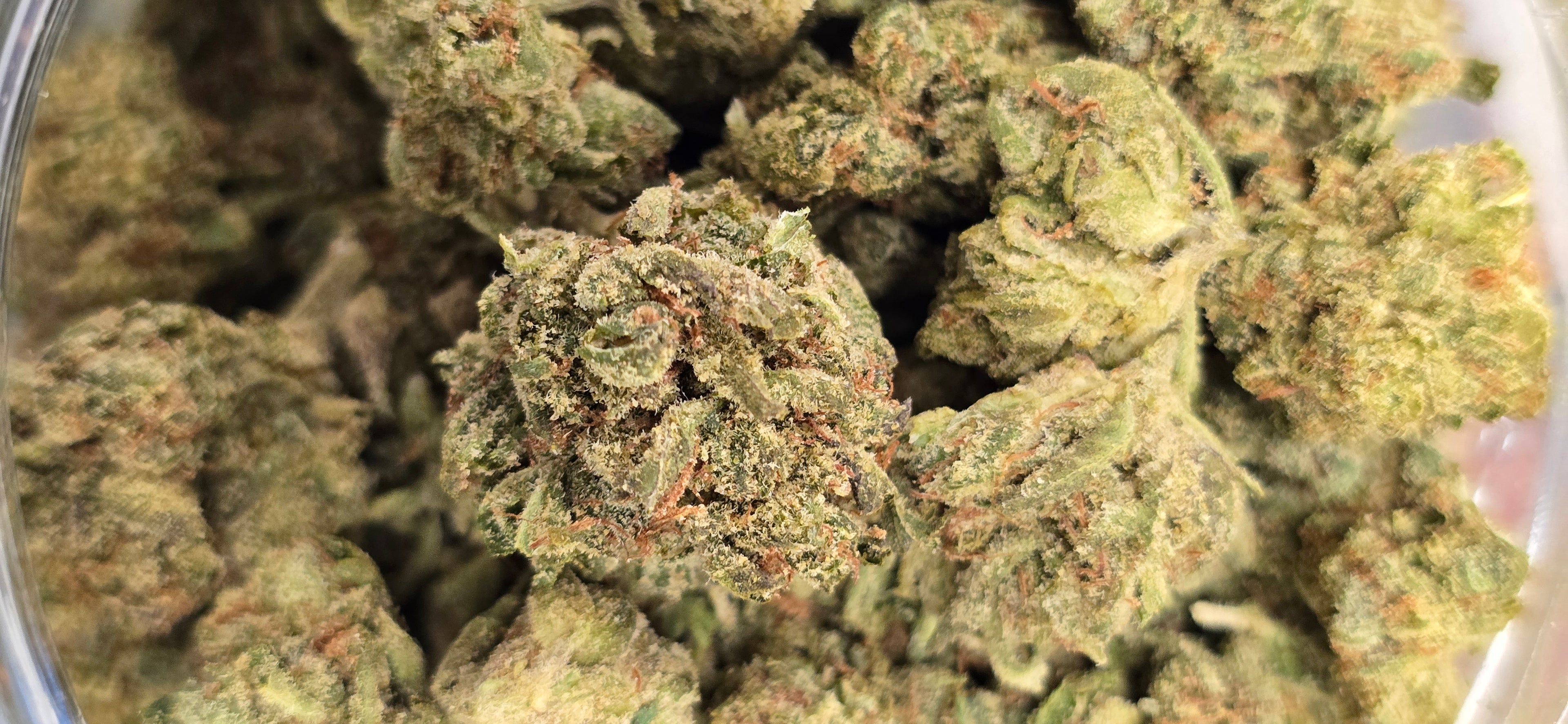 AAA+ Indoor THC-A Flower  ( Sativa )