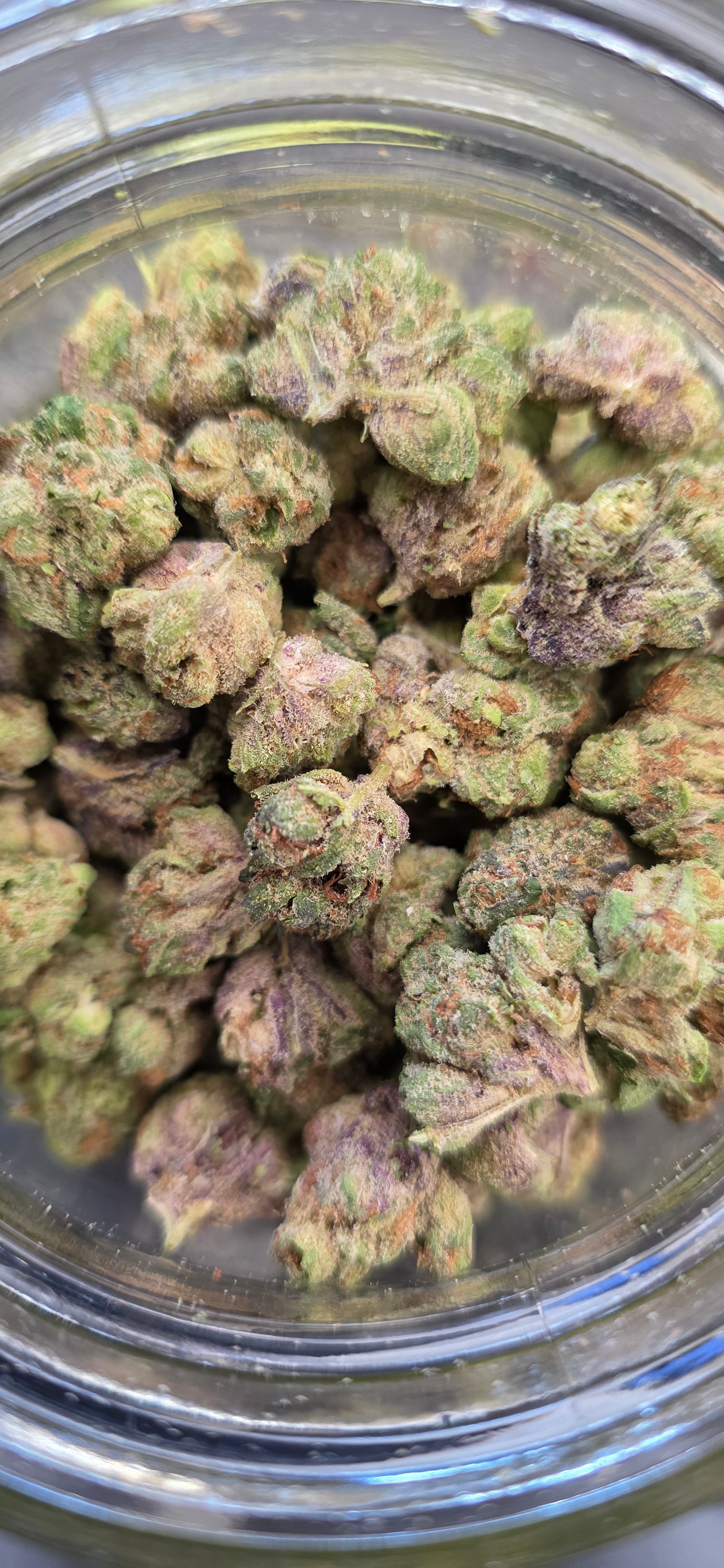 Popcorn Specials ⛽️
