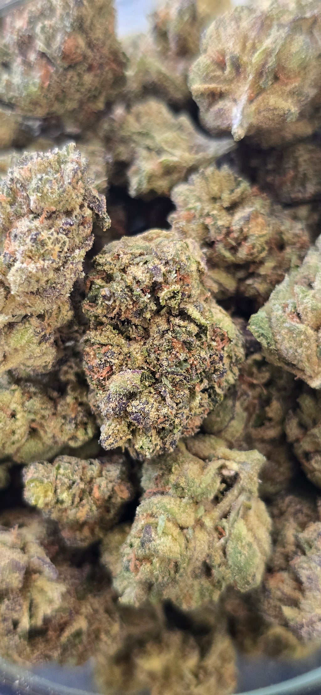 💲Budget Strains 💲