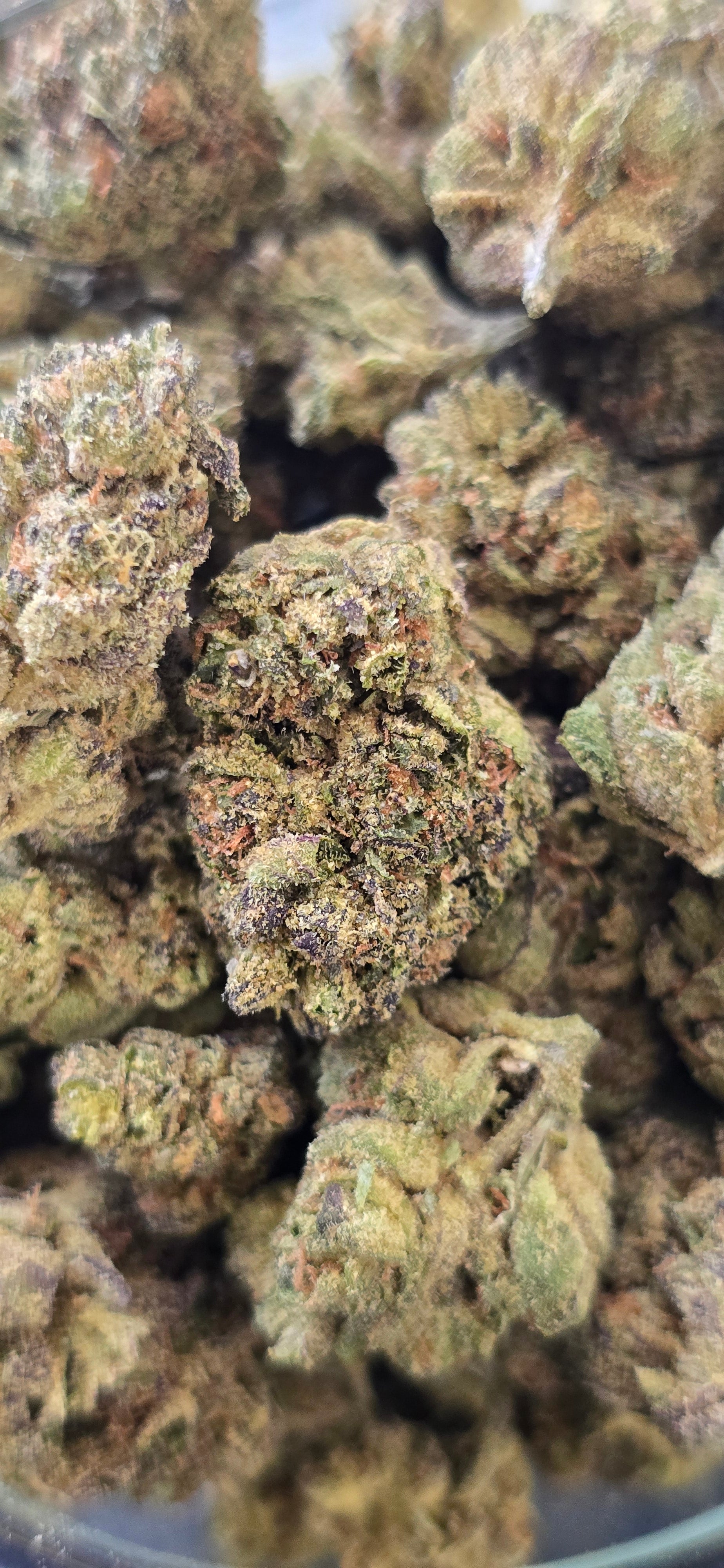 💲Budget Strains 💲