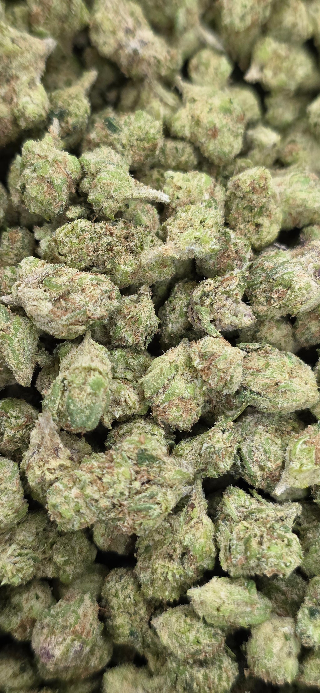 Popcorn Specials ⛽️