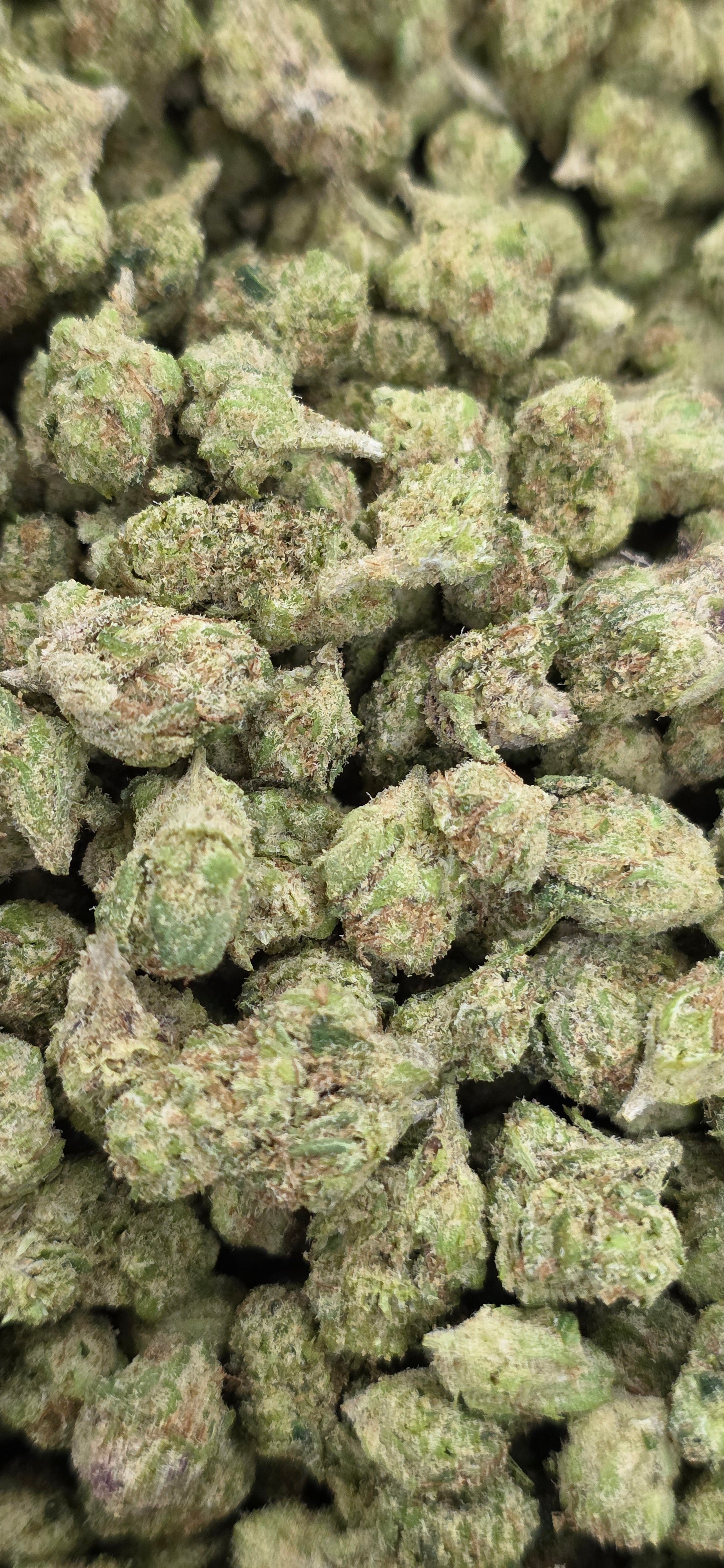 Popcorn Specials ⛽️