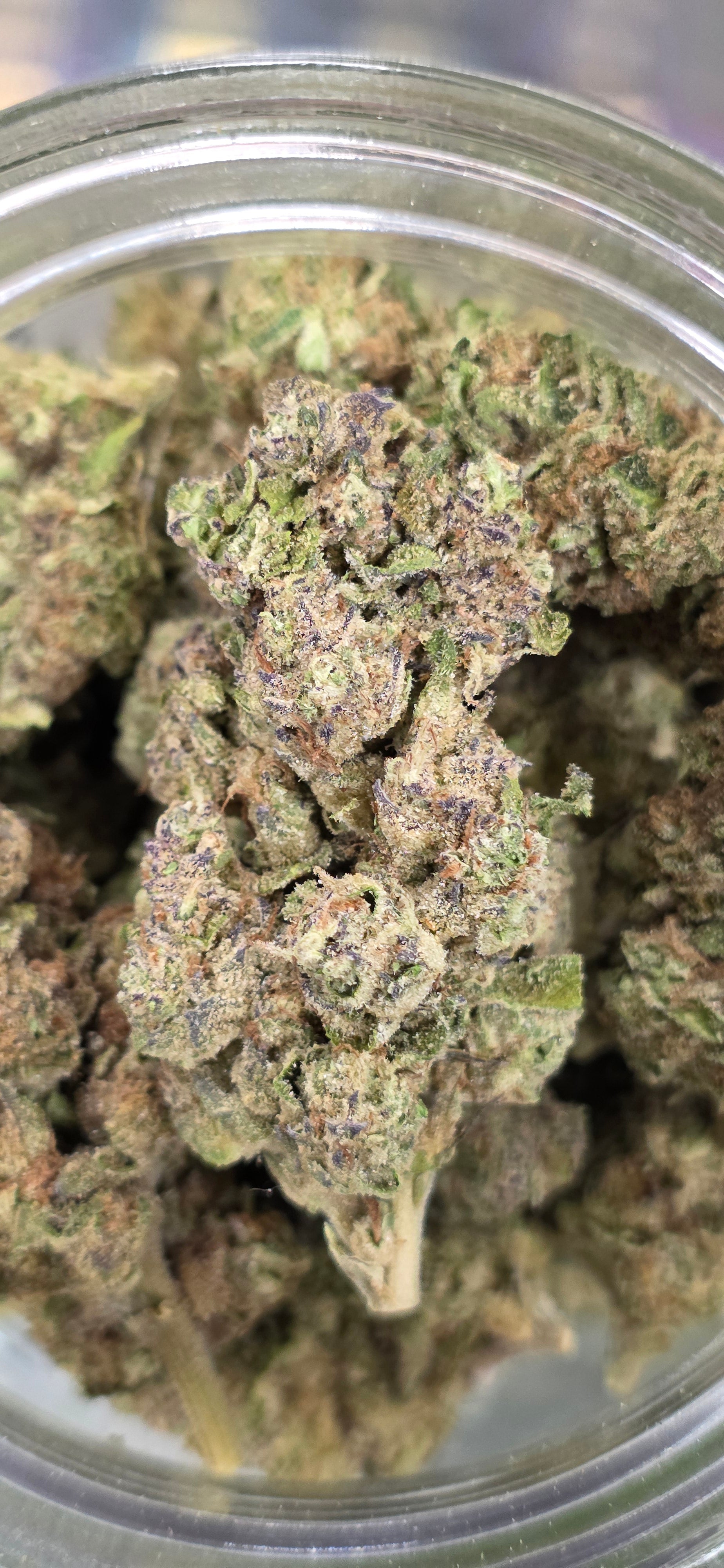 💲Budget Strains 💲