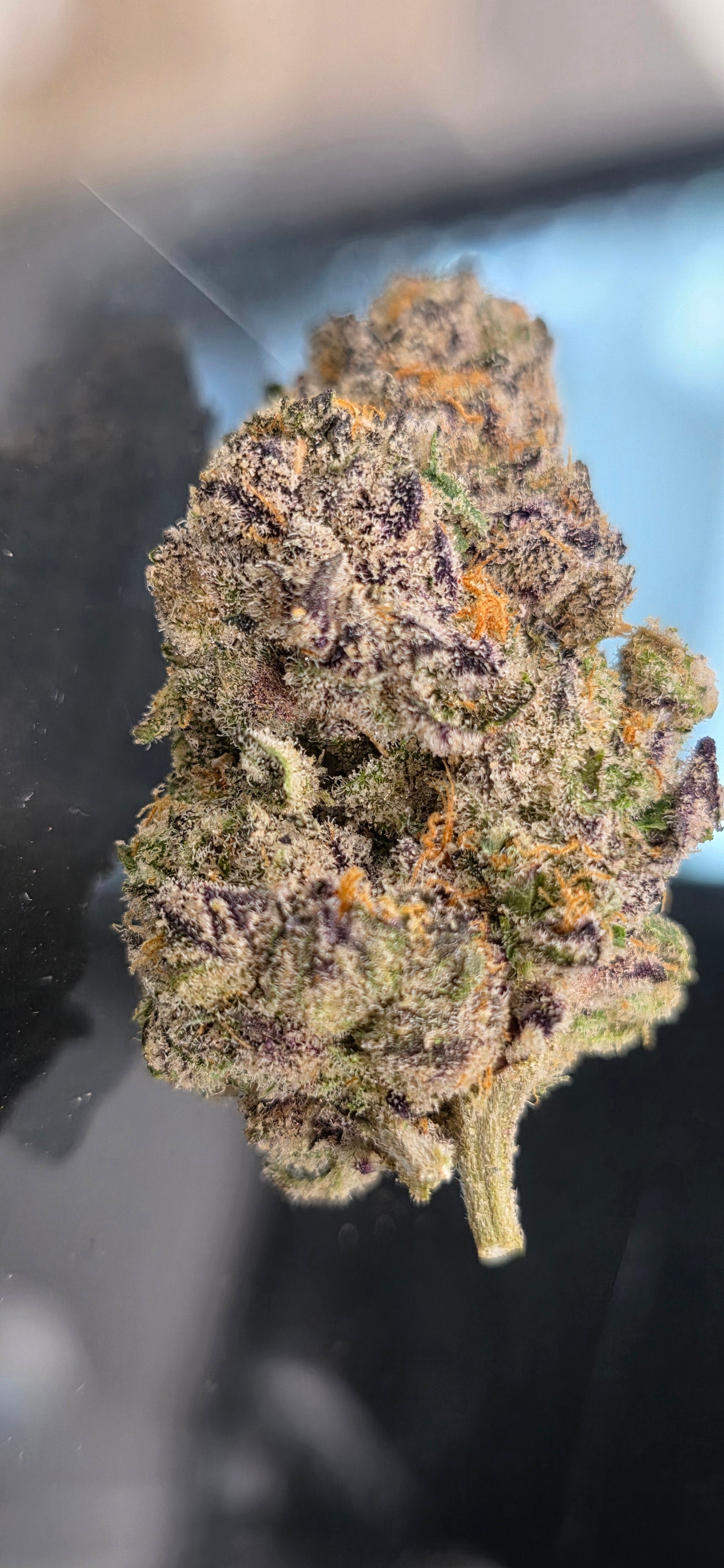 💚 Top Tier Strains 💚