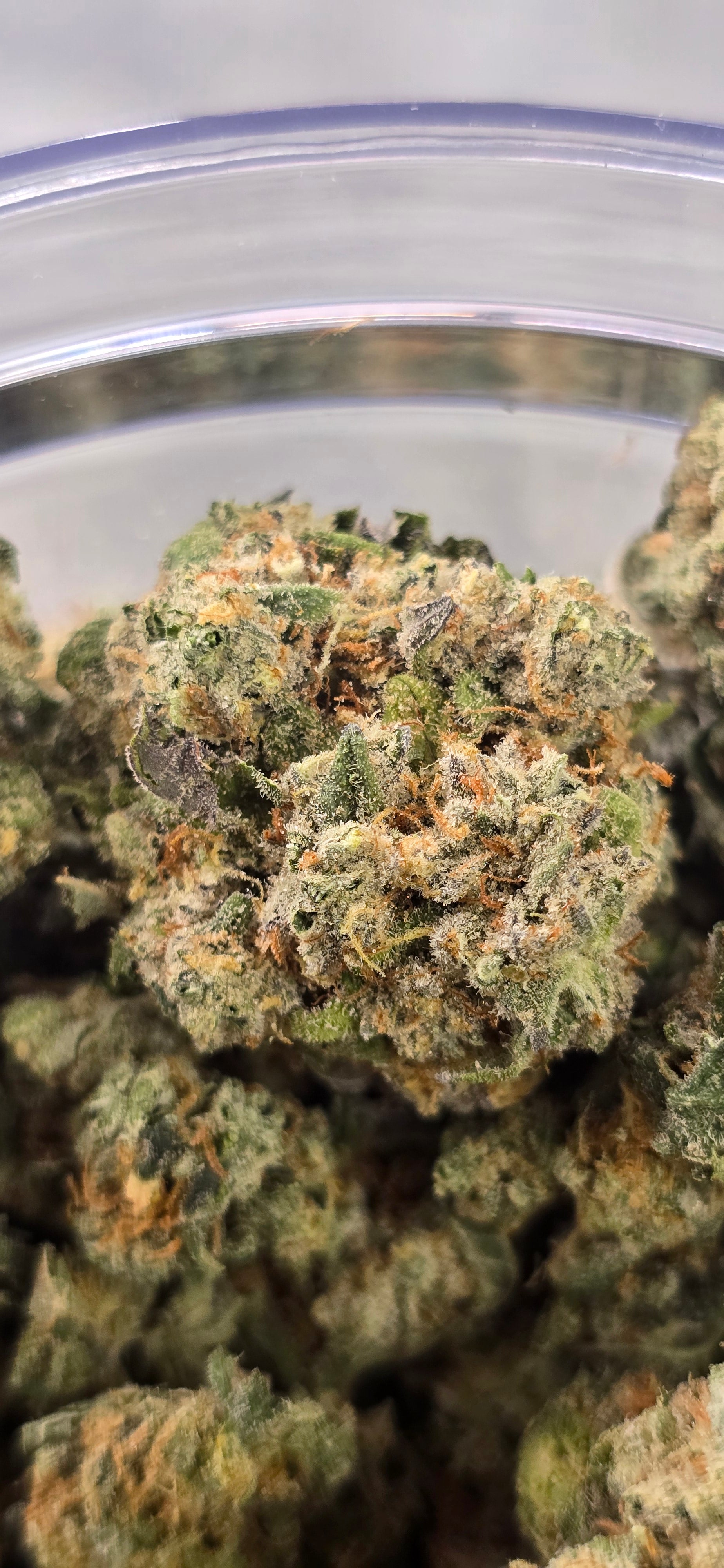 💚 Top Tier Strains 💚