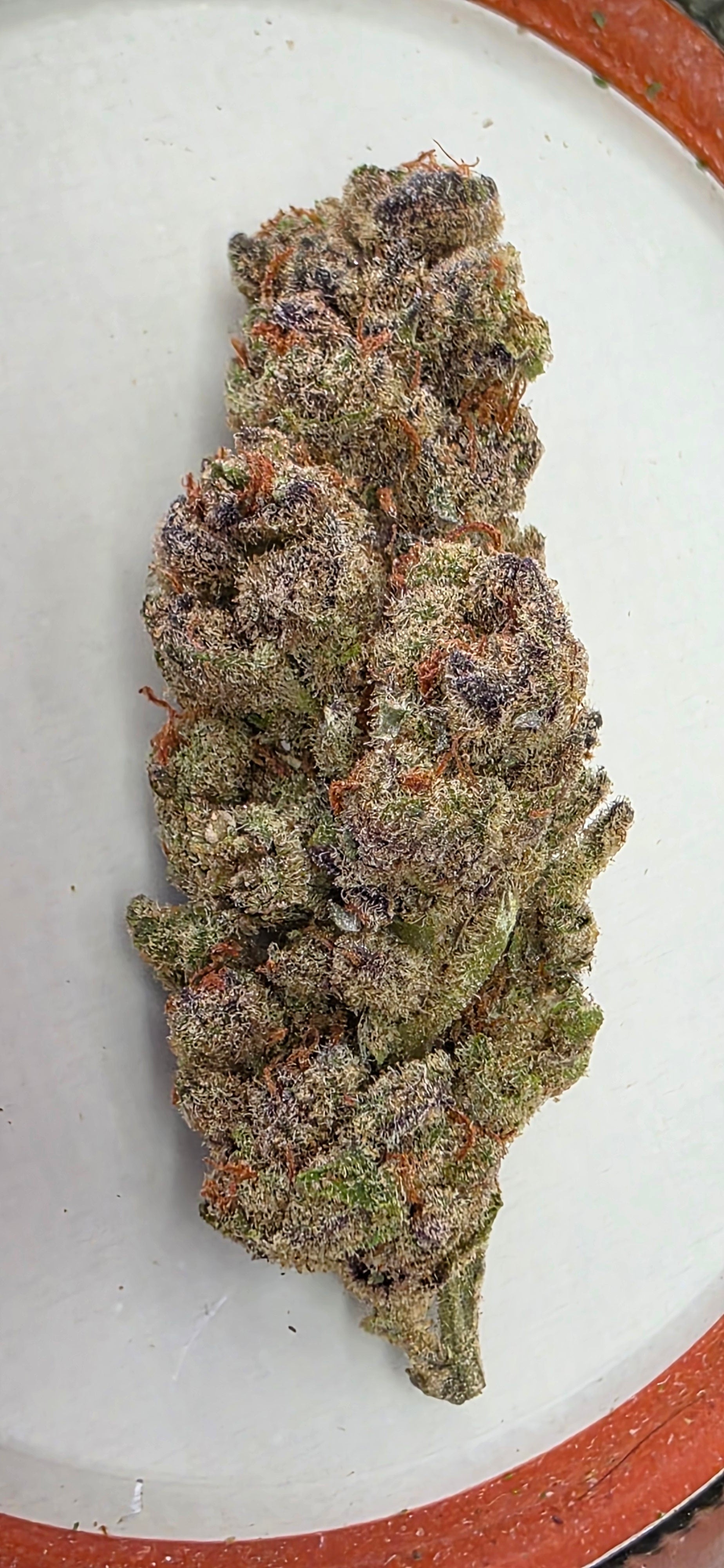 AAA+ Indoor THC-A Flower  ( Hybrid )