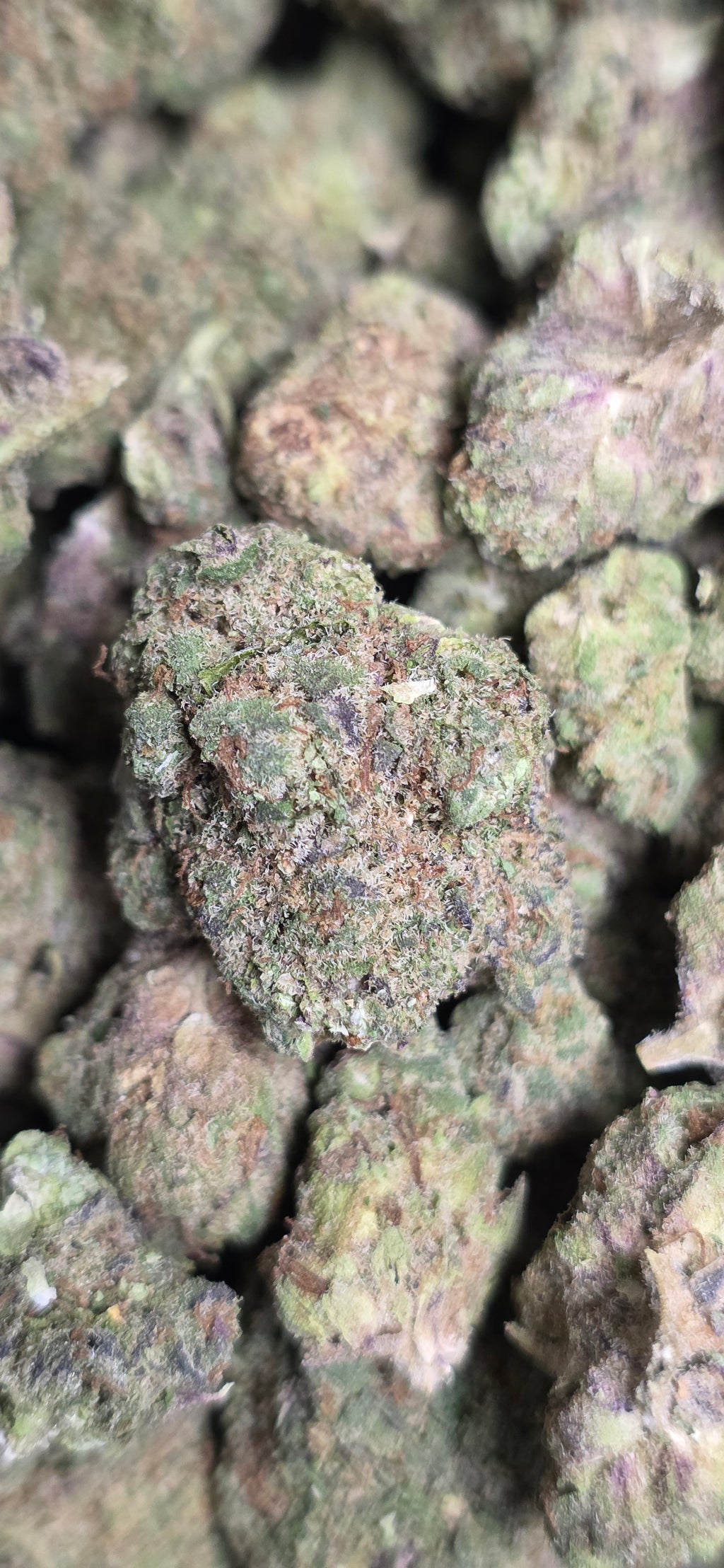 💲Budget Strains 💲