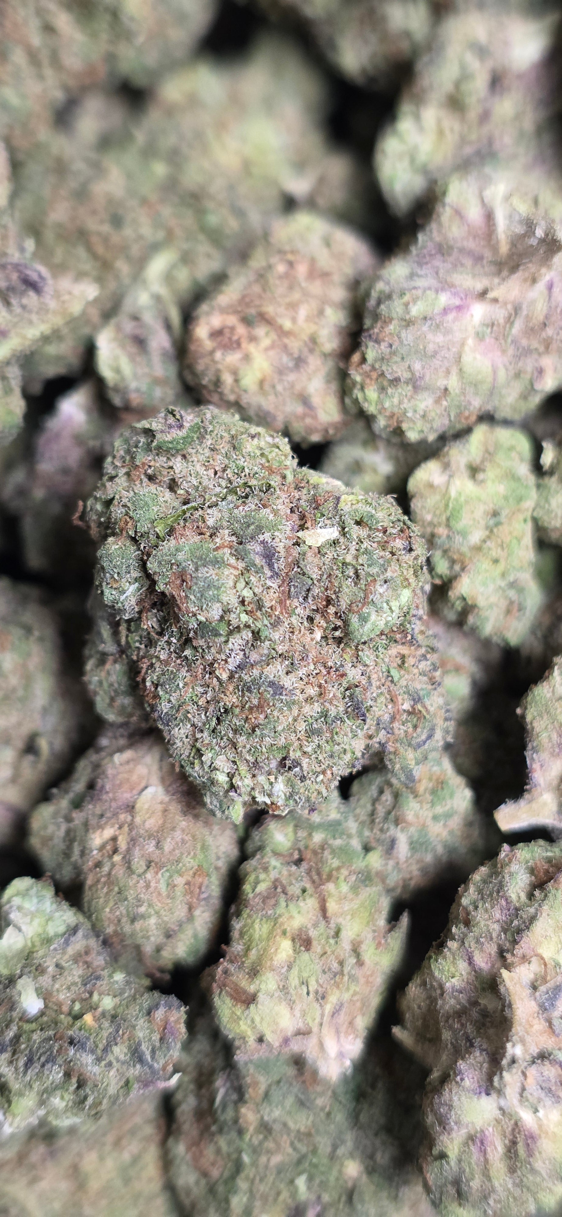 💲Budget Strains 💲