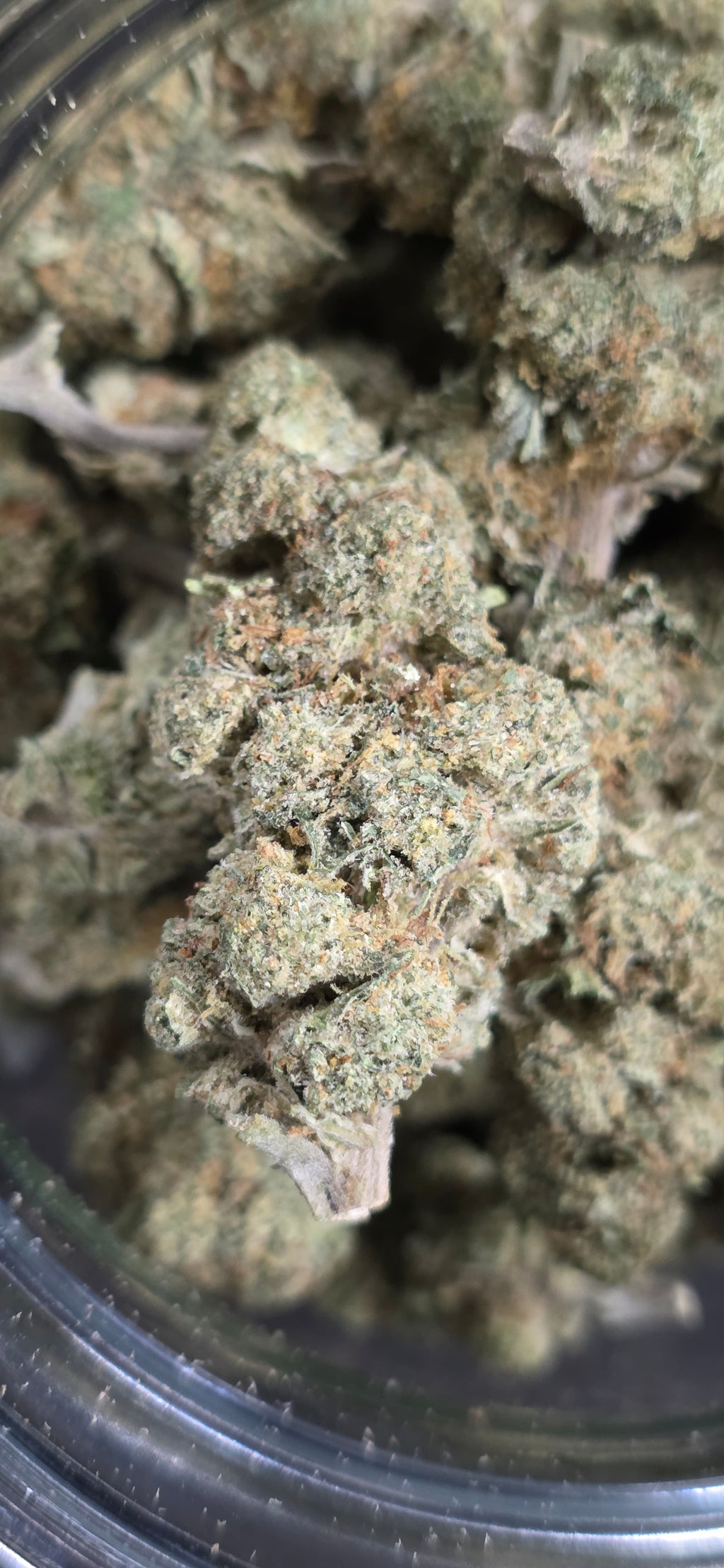 AAA+ Indoor THC-A Flower  ( Indica )