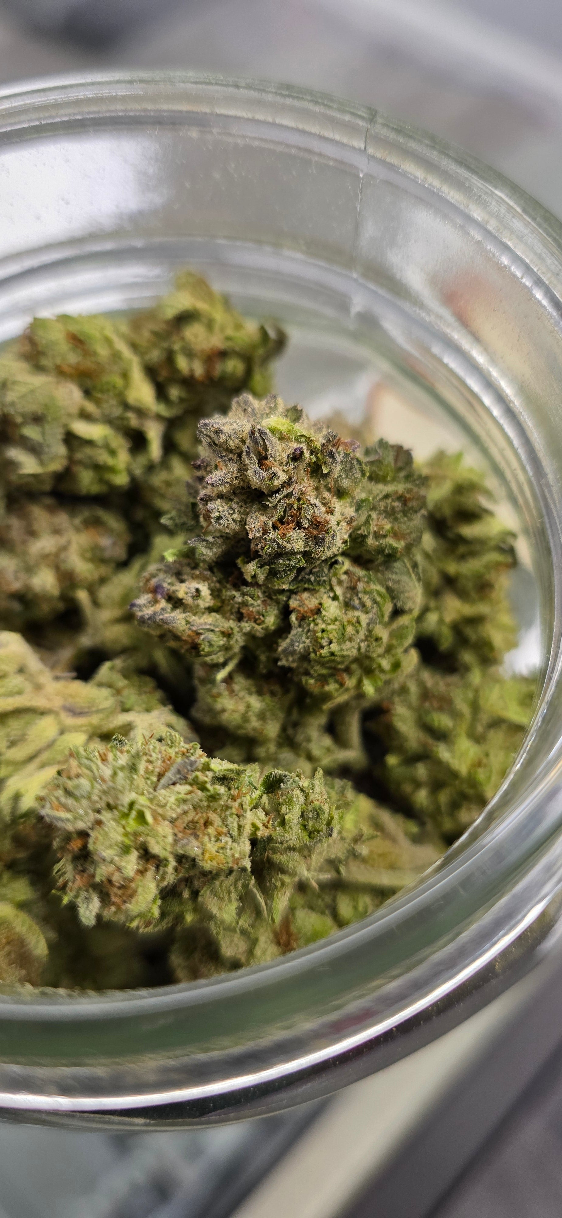 AAA+ Indoor THC-A Flower  ( Indica )