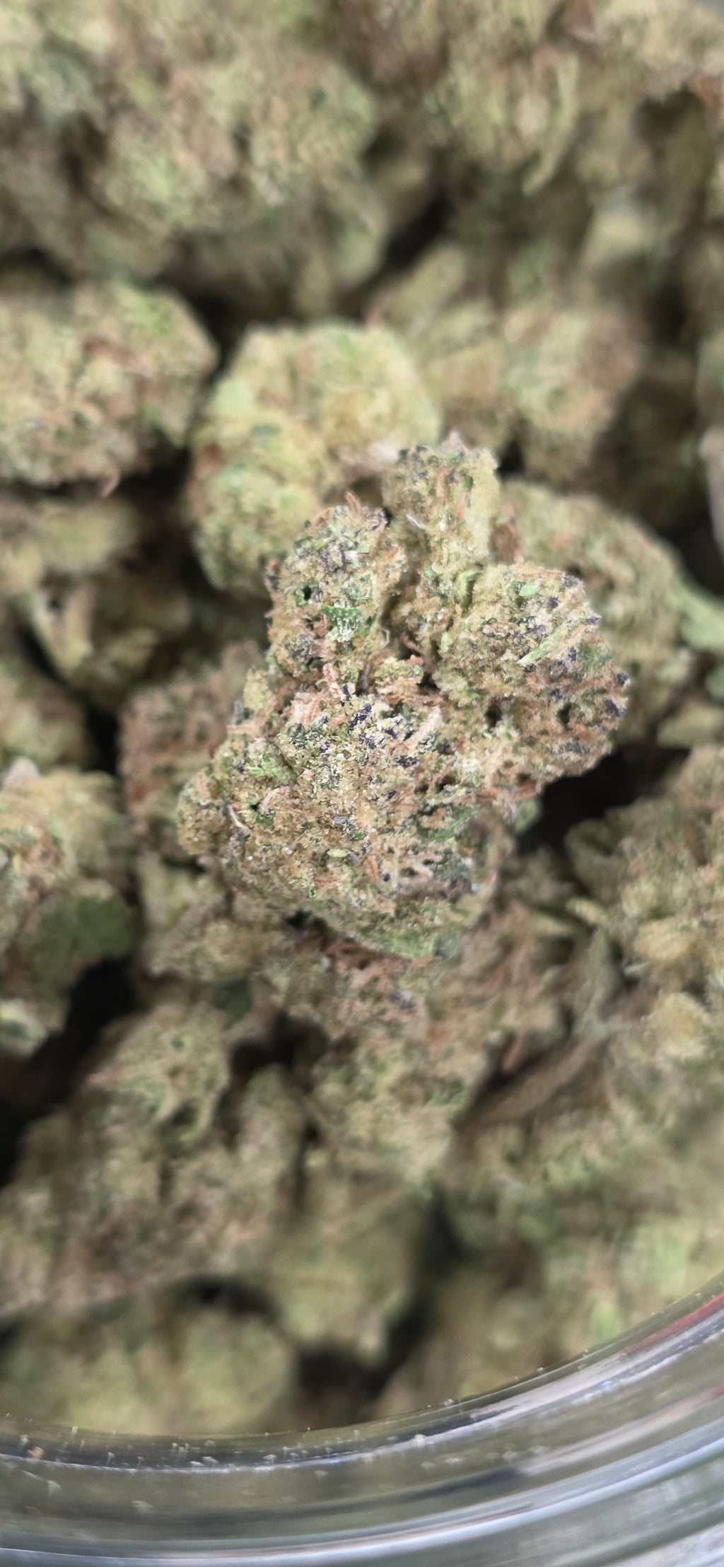 💲Budget Strains 💲