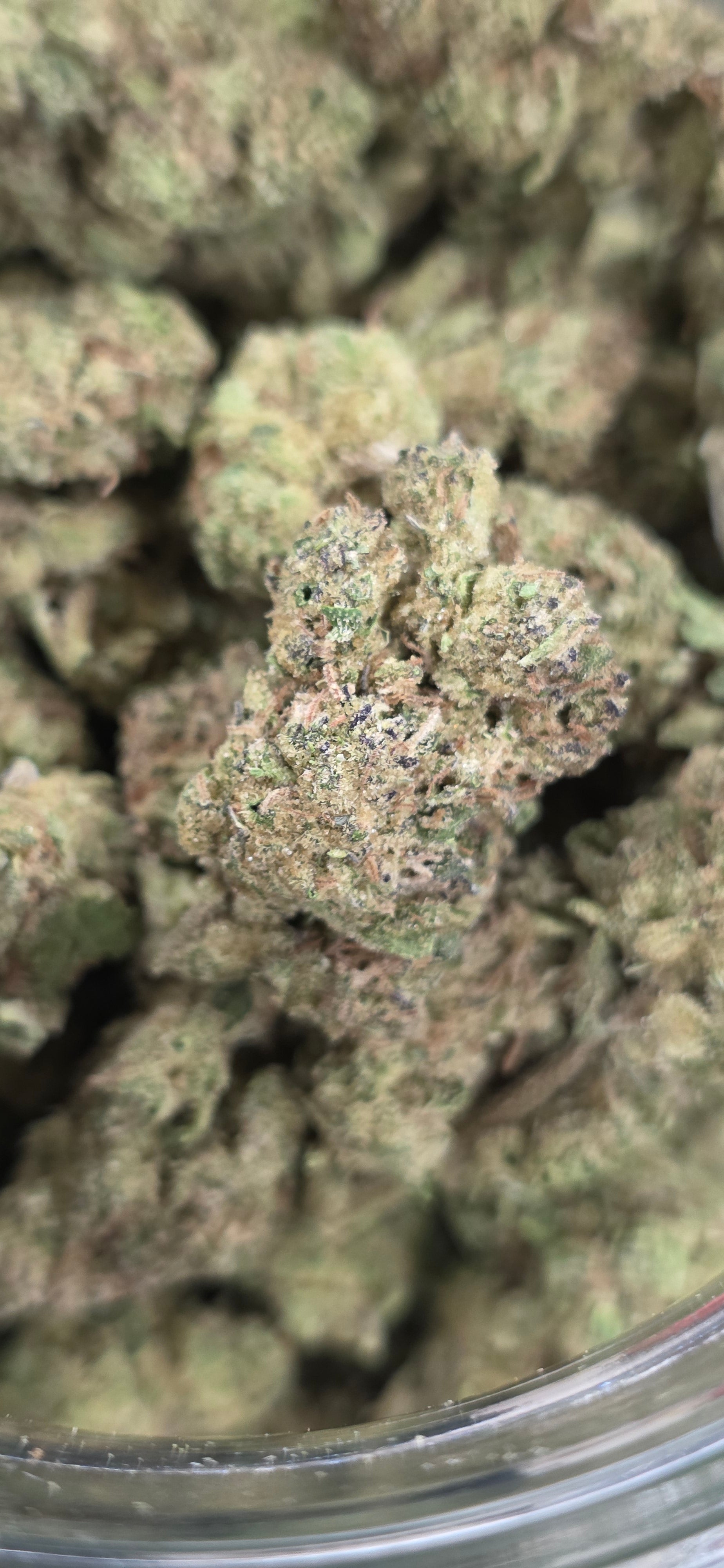 💲Budget Strains 💲