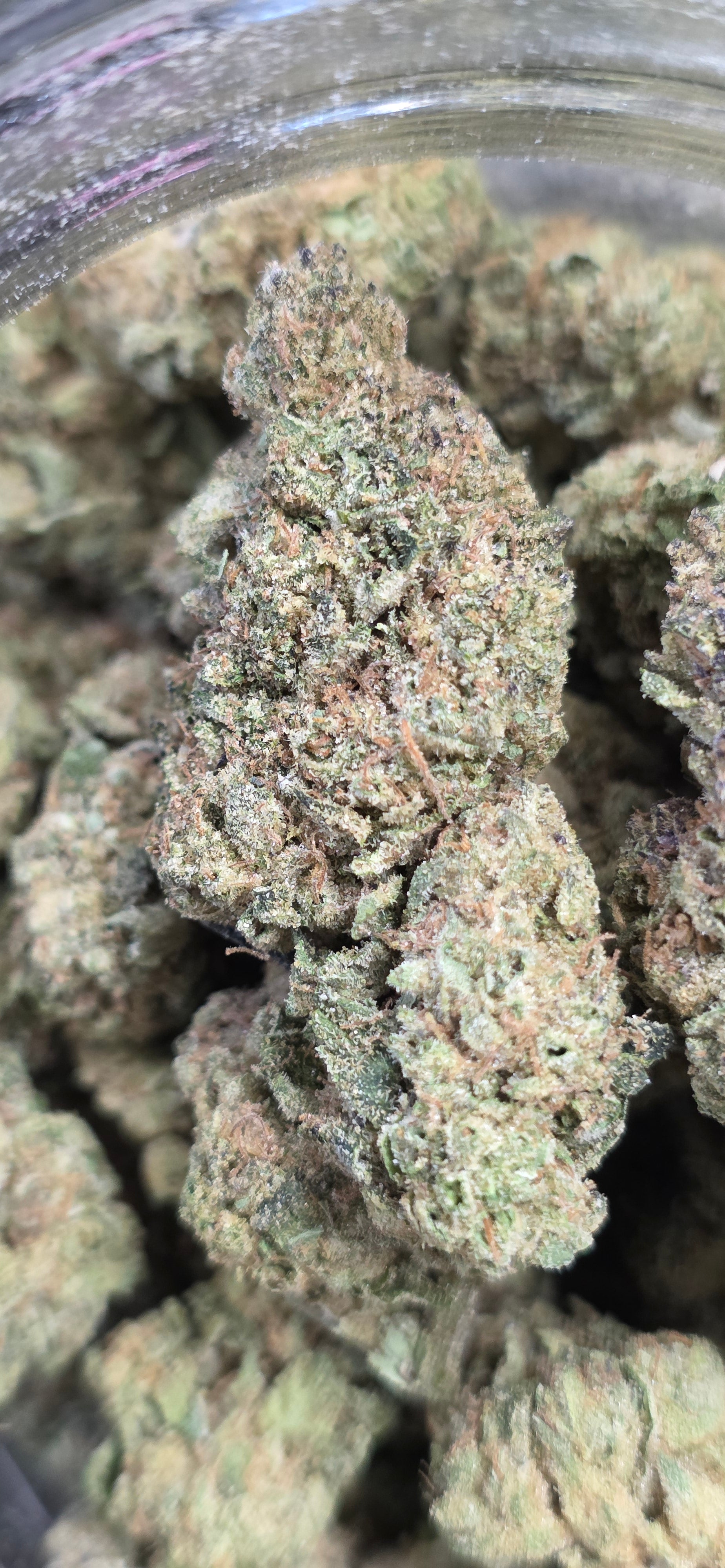 AAA+ Indoor THC-A Flower  ( Sativa )