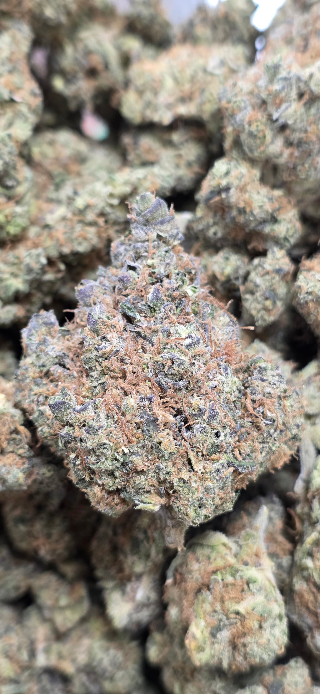 AAA+ Indoor THC-A Flower  ( Hybrid )