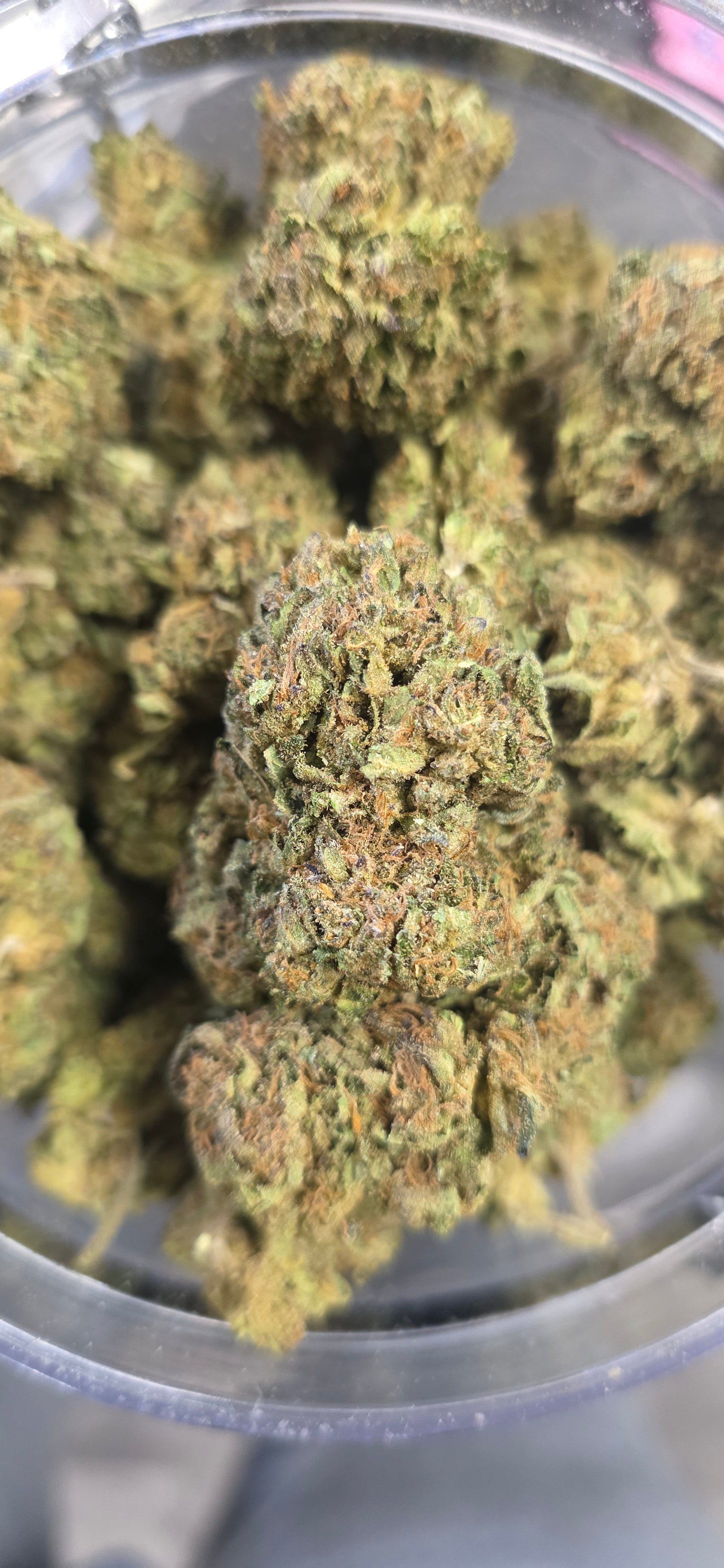 💲Budget Strains 💲