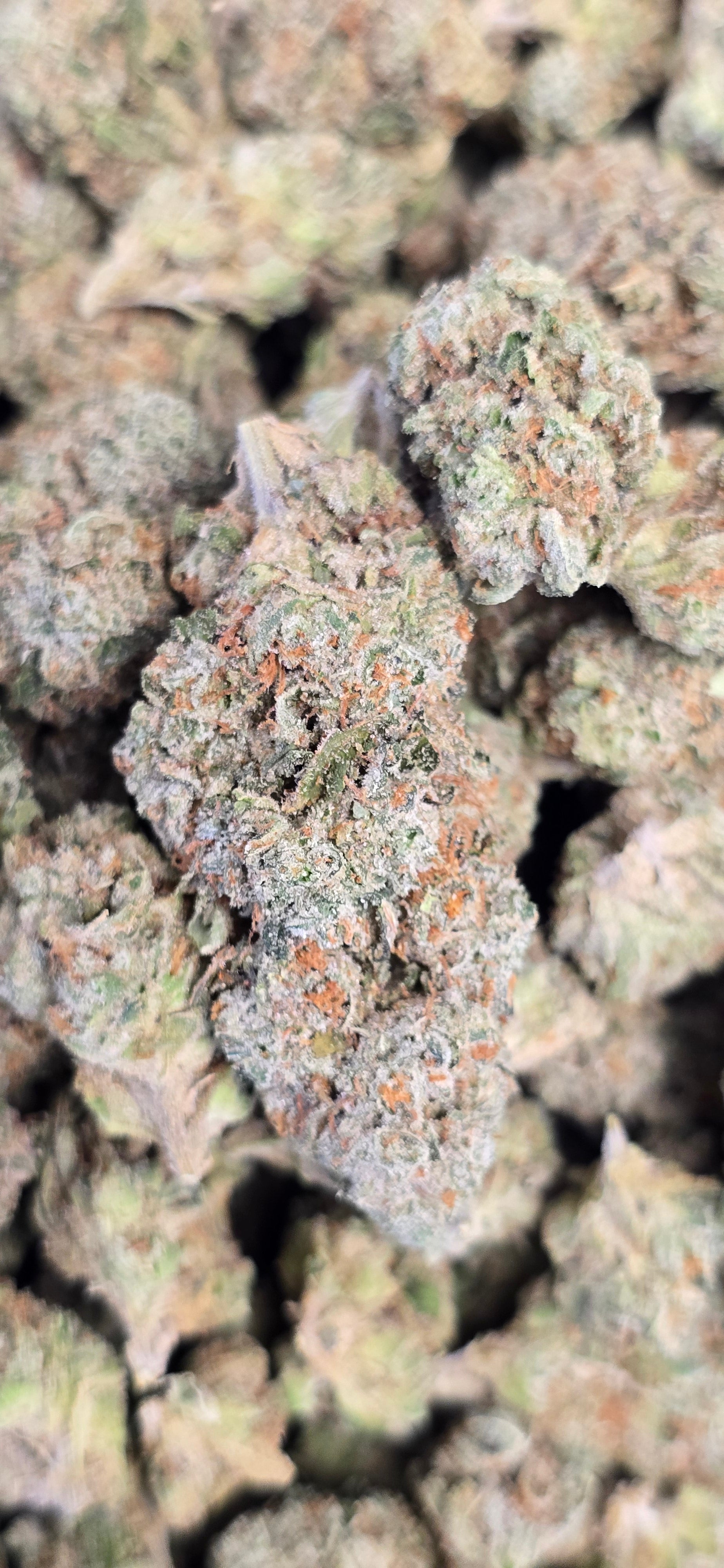 💚 Top Tier Strains 💚