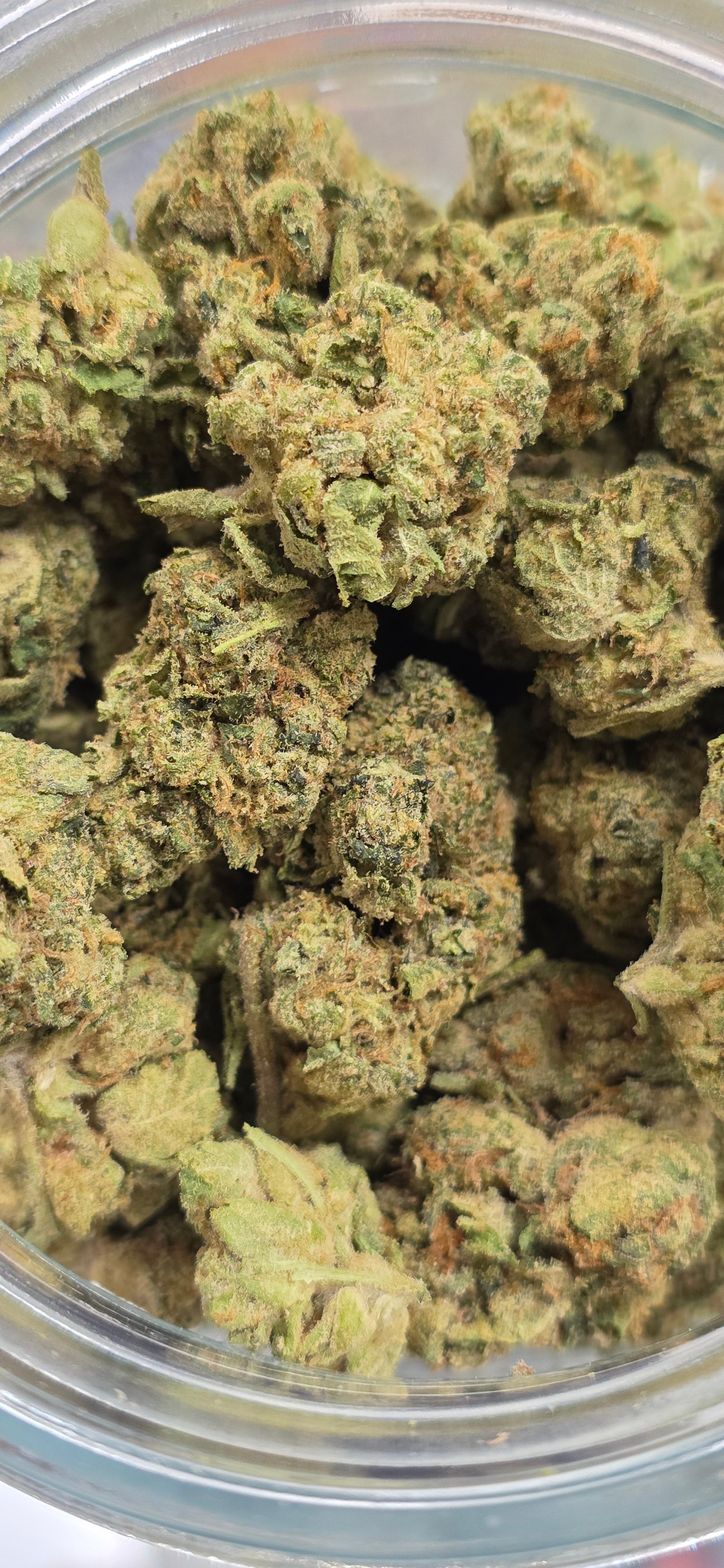 AAA+ Indoor THC-A Flower  ( Hybrid )