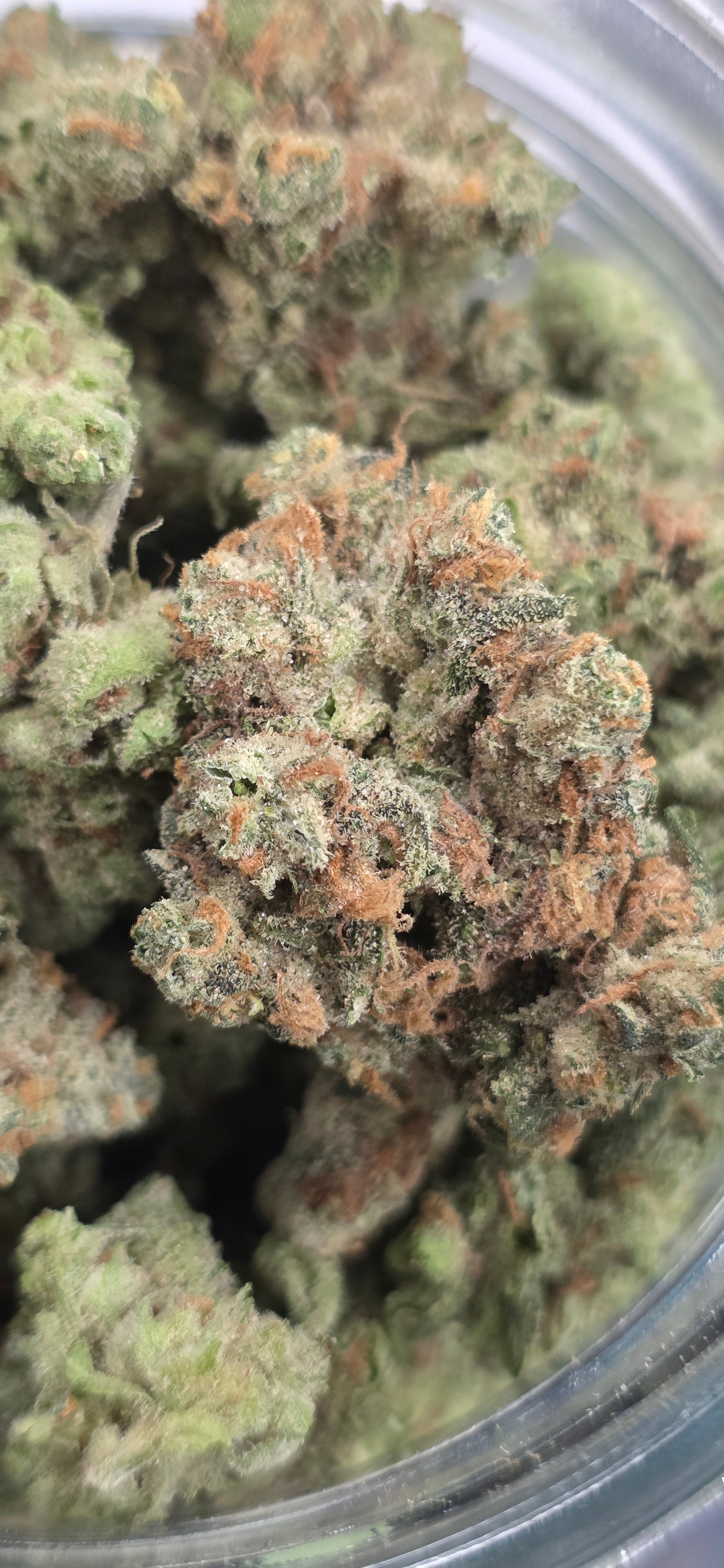 💚 Top Tier Strains 💚