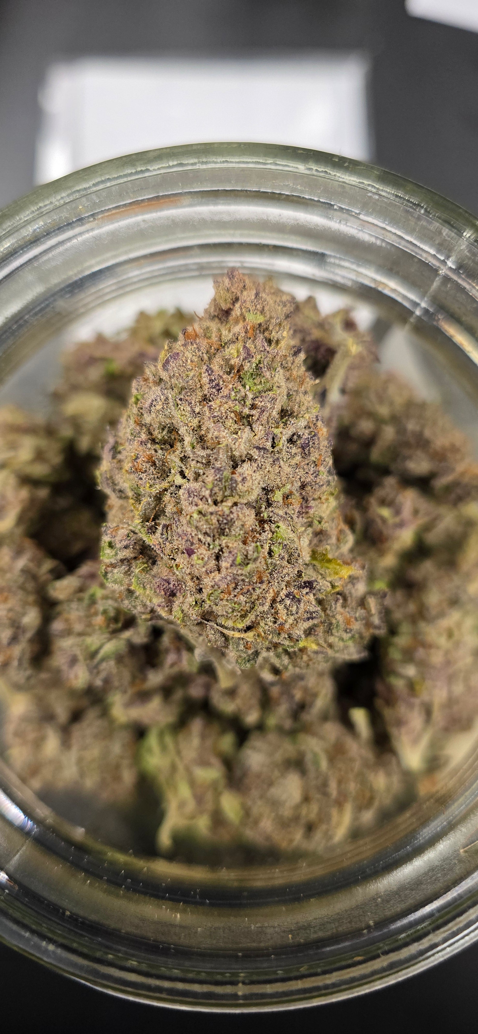 AAA+ Indoor THC-A Flower  ( Indica )
