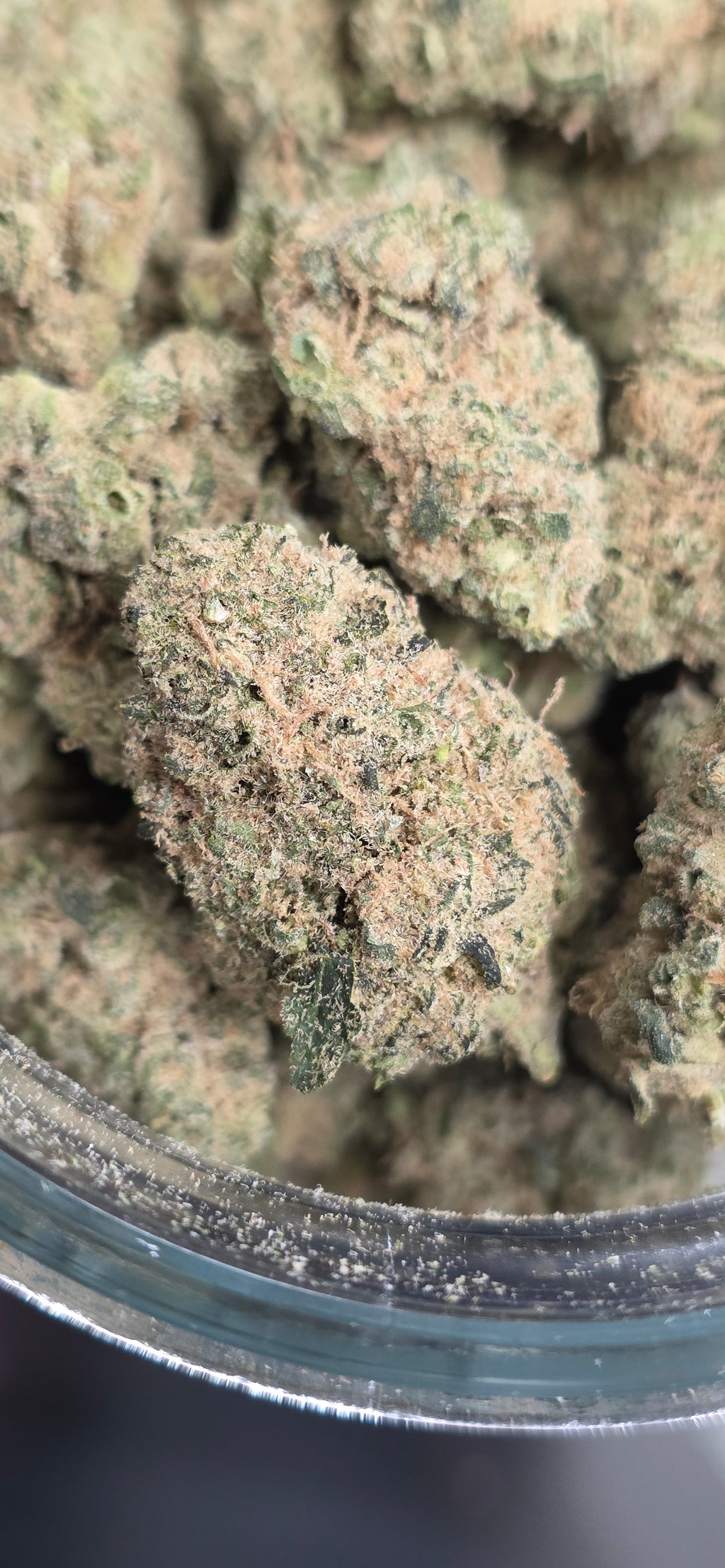 AAA+ Indoor THC-A Flower  ( Sativa )