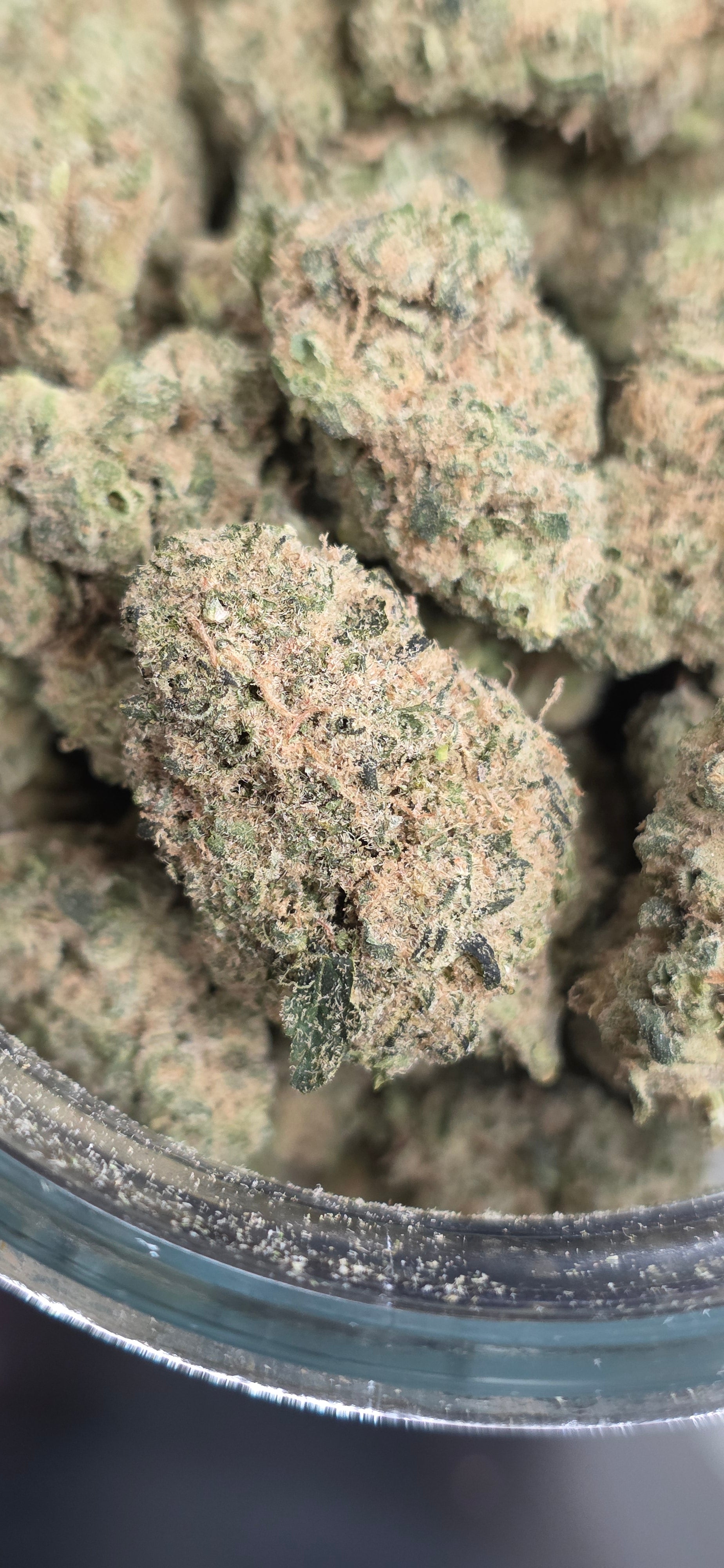 AAA+ Indoor THC-A Flower  ( Sativa )