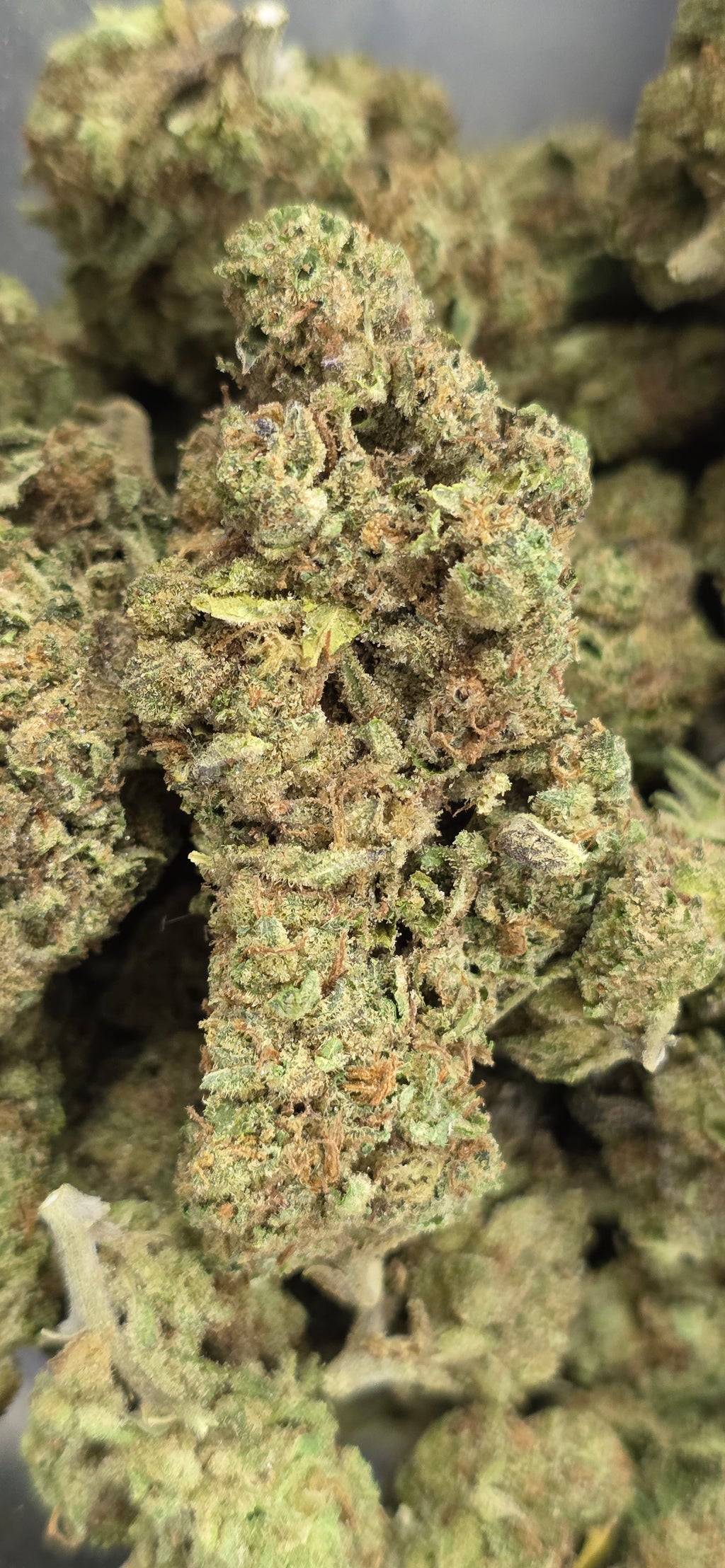 💲Budget Strains 💲