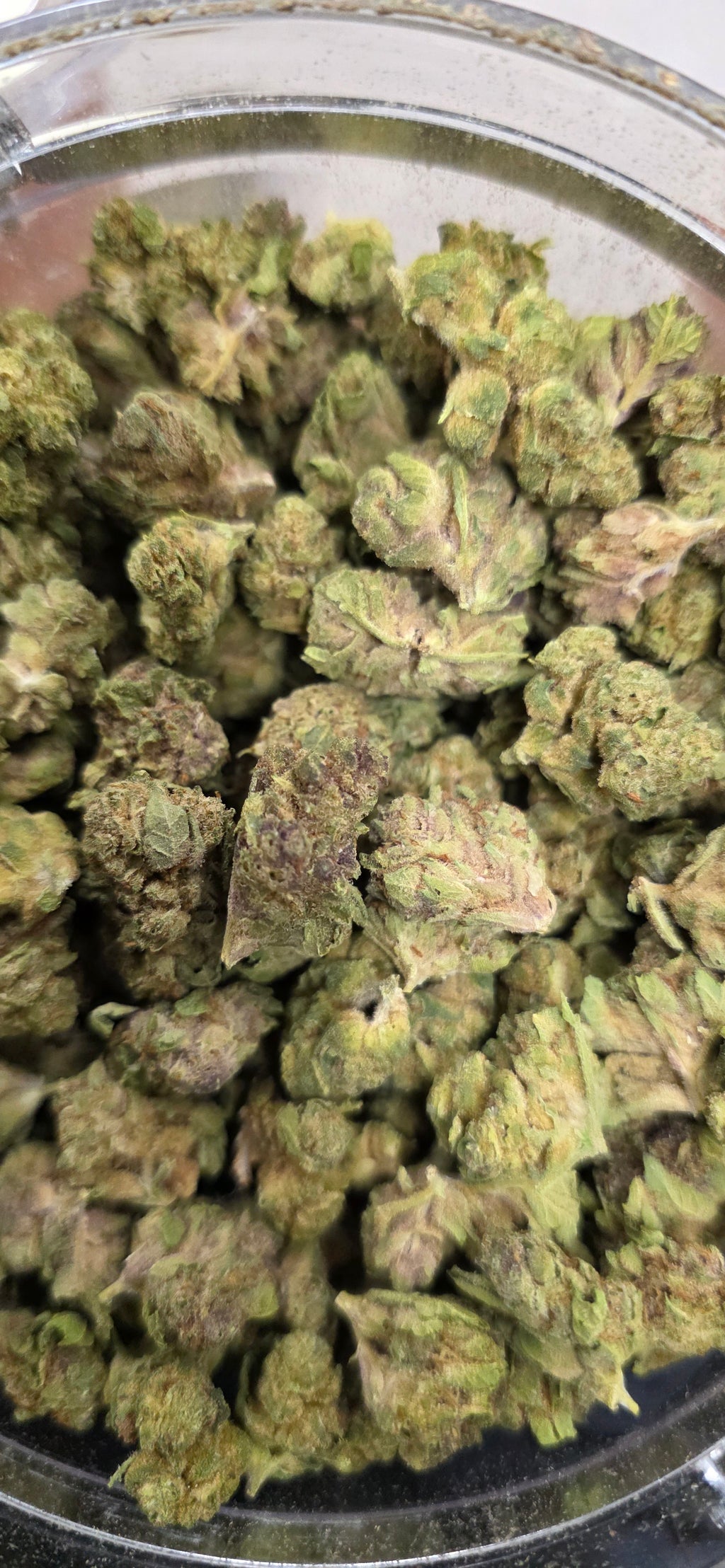 💲Budget Strains 💲