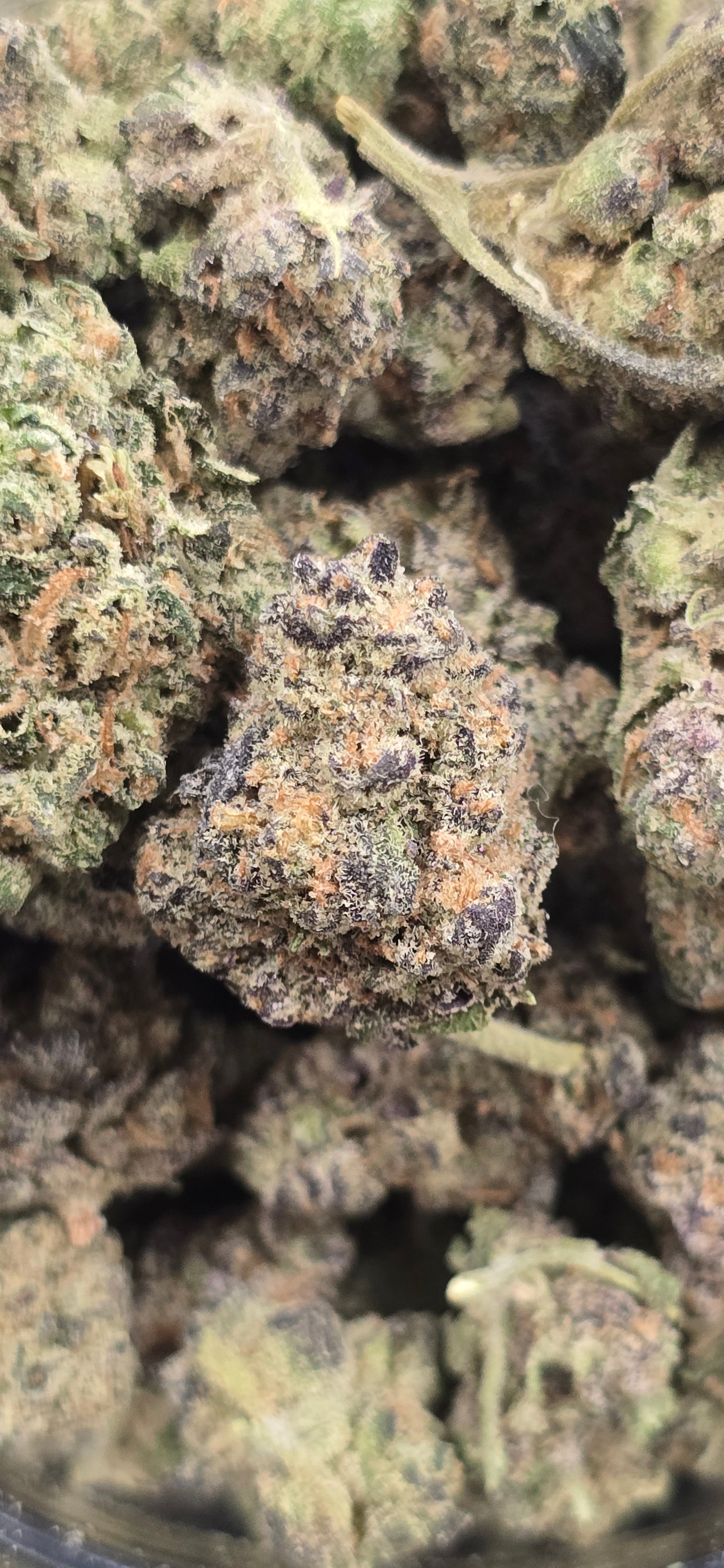 💚 Top Tier Strains 💚