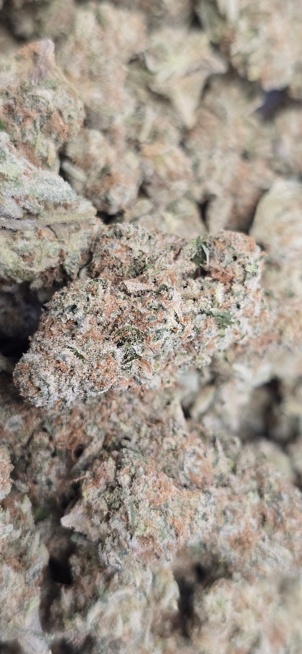 💚 Top Tier Strains 💚