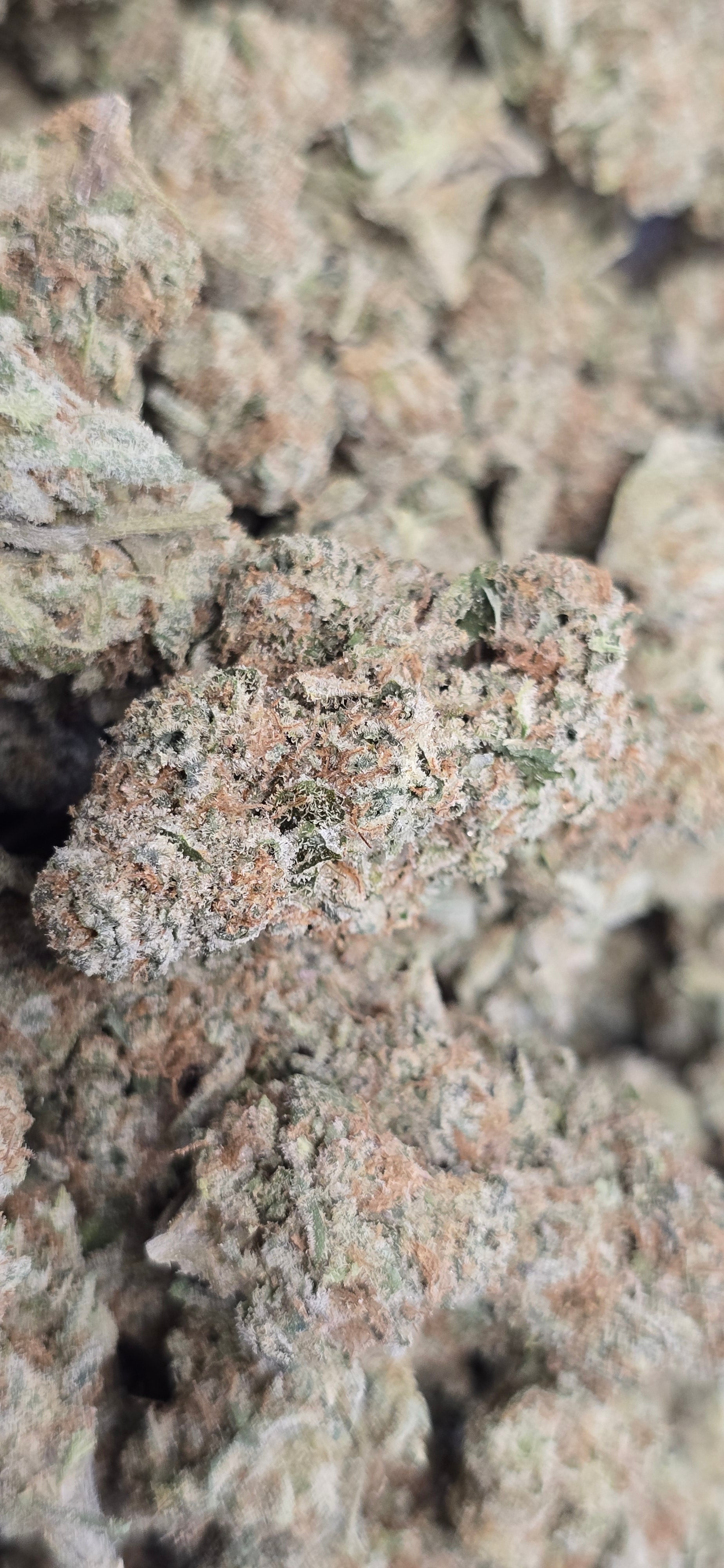 💚 Top Tier Strains 💚