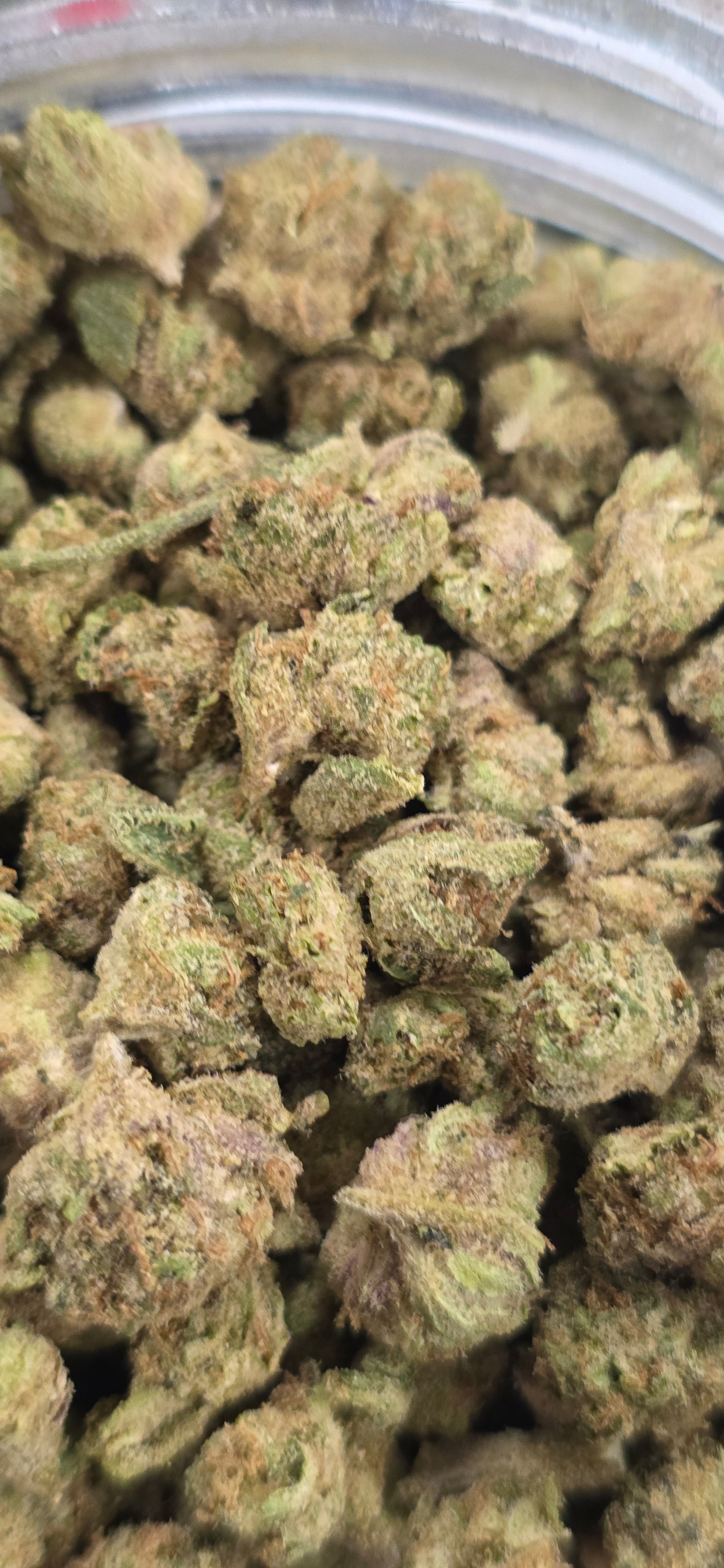 Popcorn Specials ⛽️