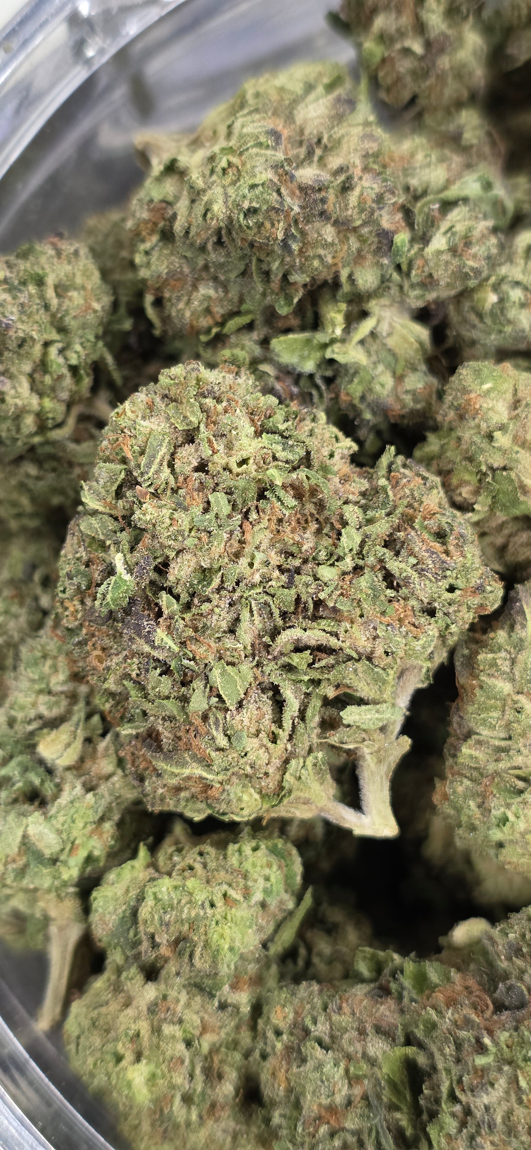 💲Budget Strains 💲