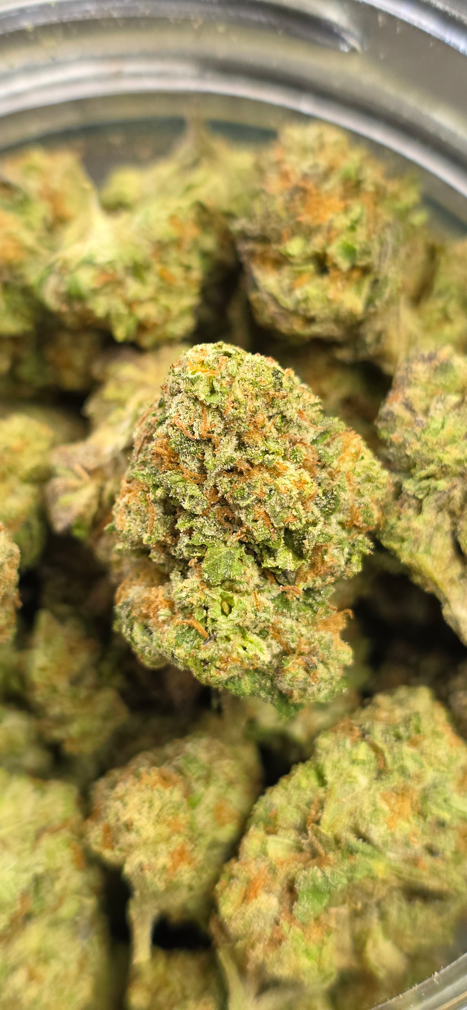 💲Budget Strains 💲