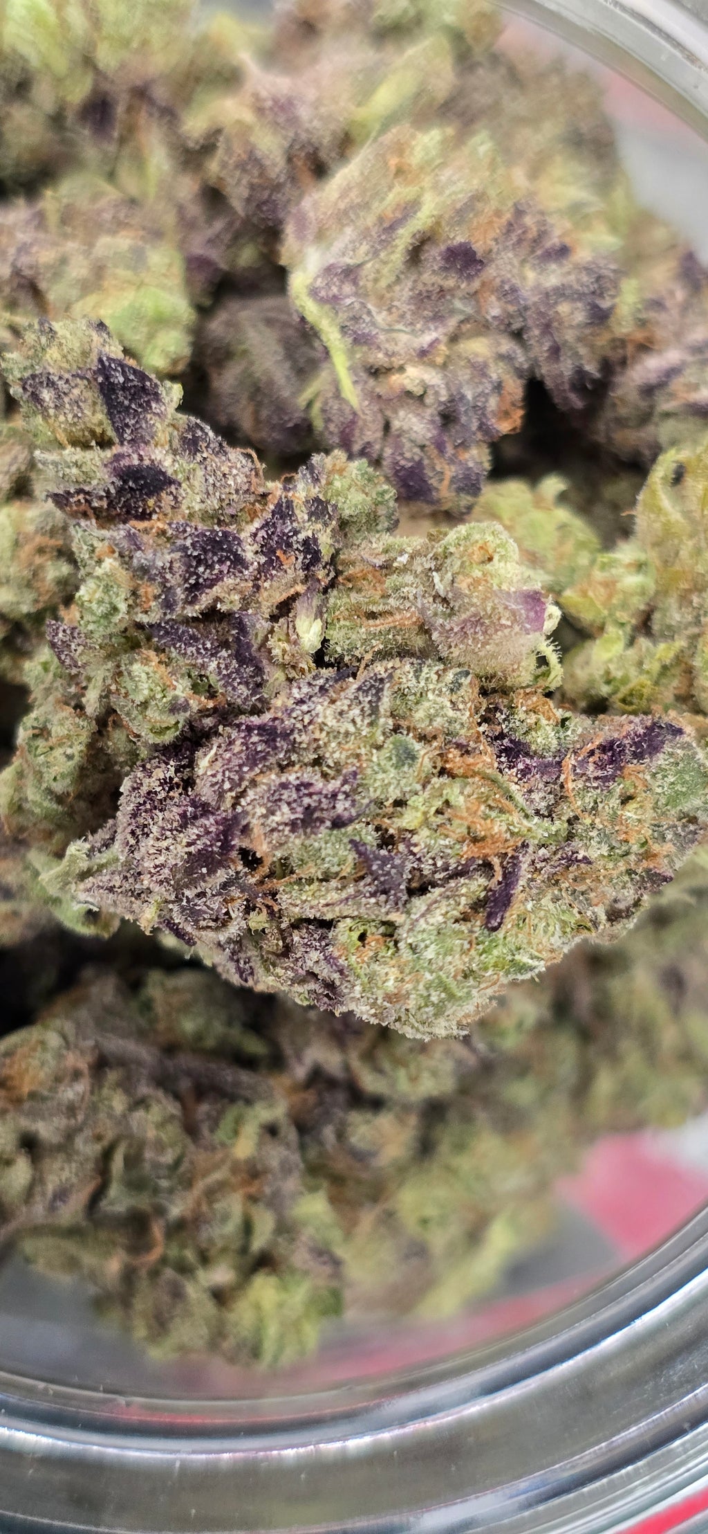 AAA+ Indoor THC-A Flower  ( Indica )