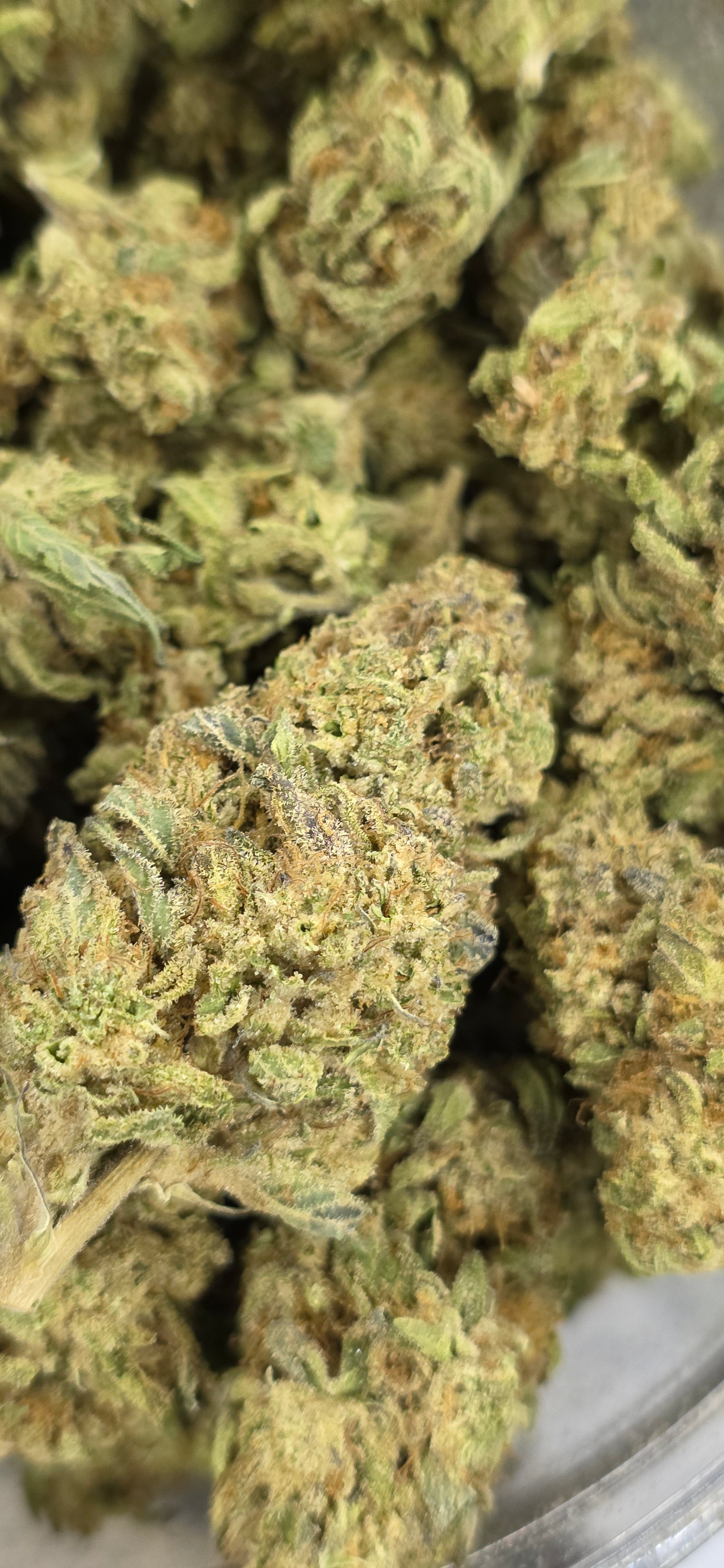 💲Budget Strains 💲